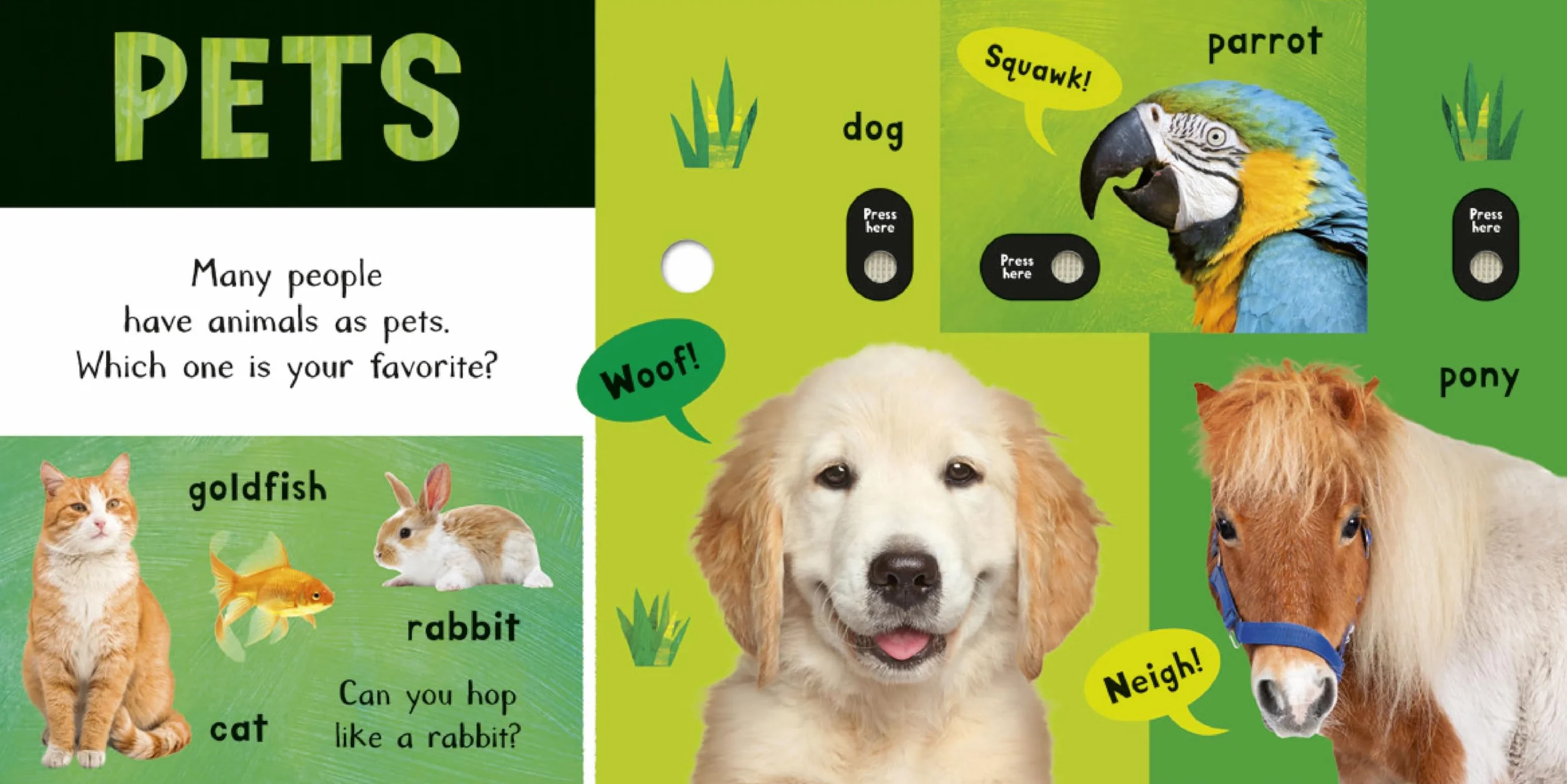 Noisy Animal World: My First Animal Sound Book