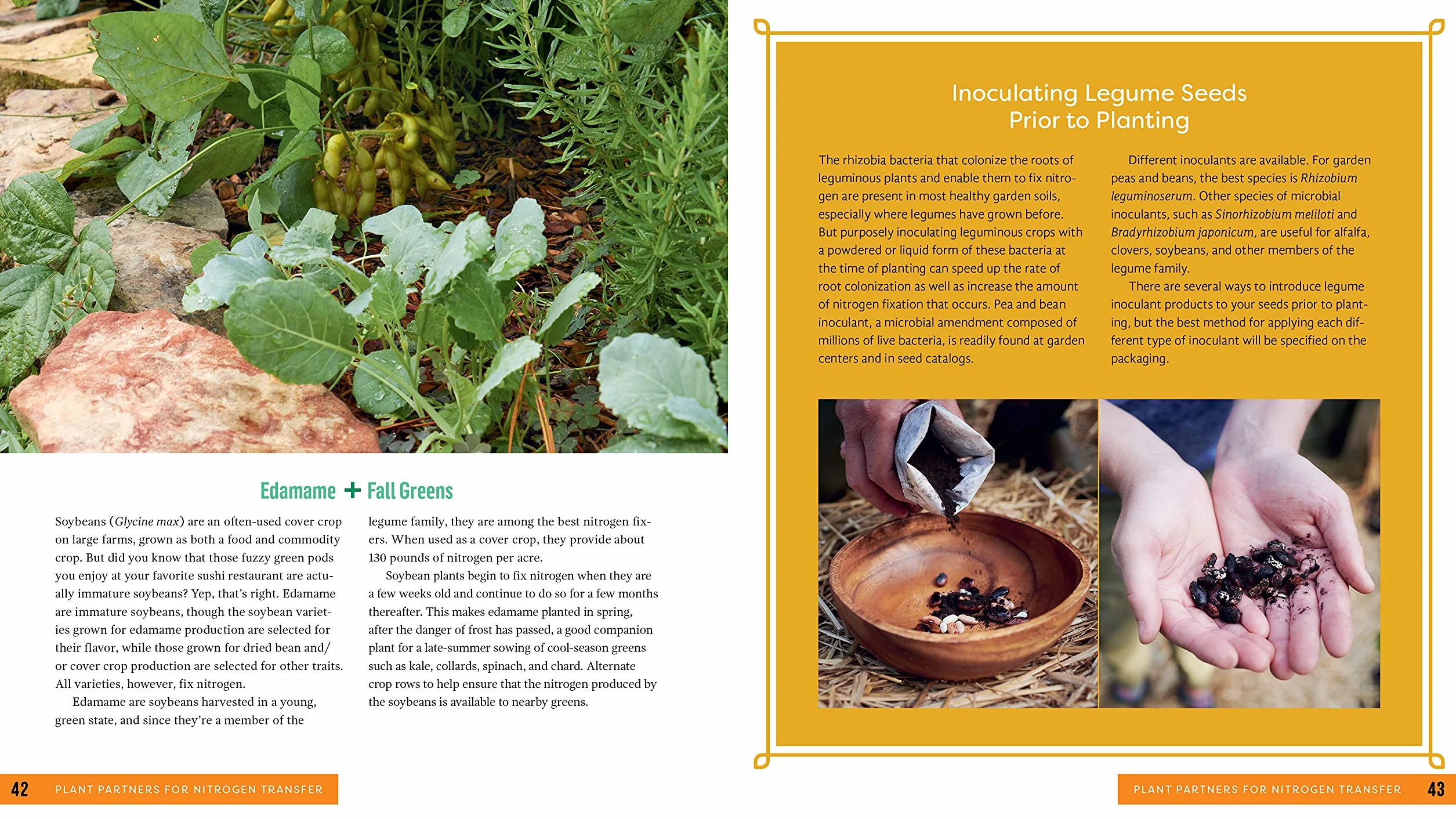 Plant Partners: Science-Based Companion Planting Strategies for the Vegetable Garden