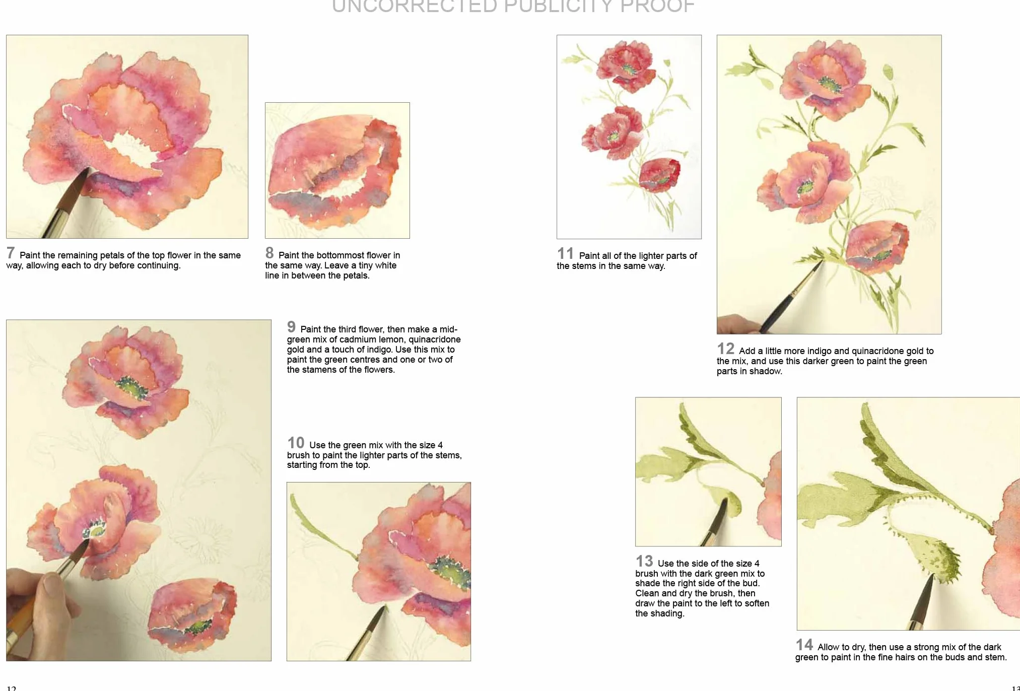 Watercolour Flowers Paint Set