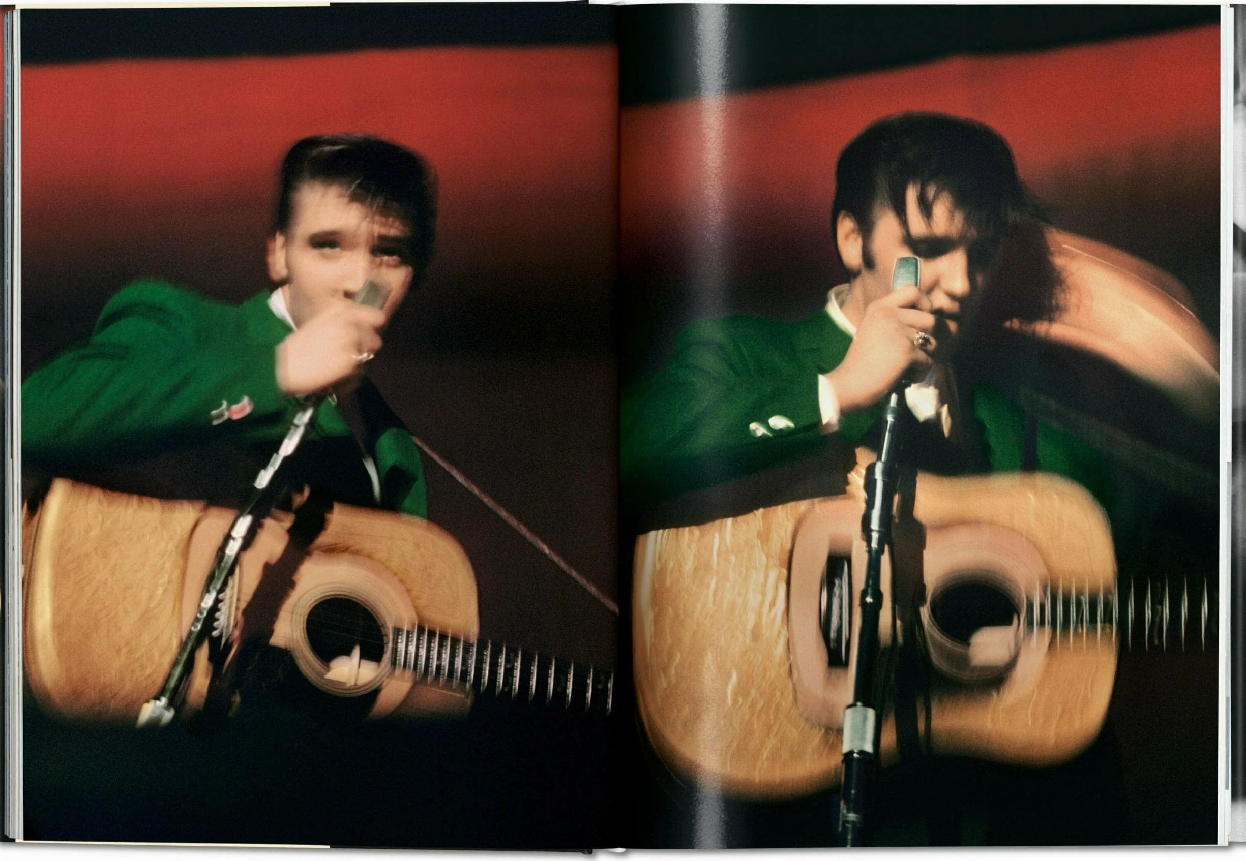 Elvis and the Birth of Rock and Roll