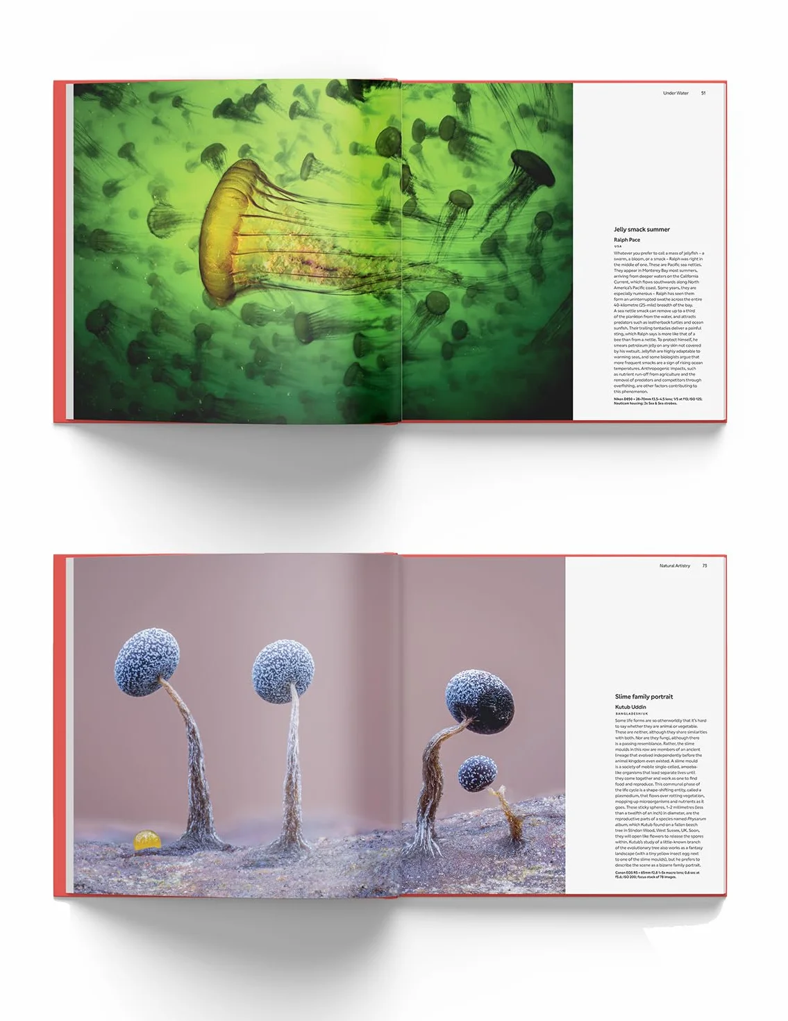 Wildlife Photographer of the Year: Portfolio 35: Volume 35