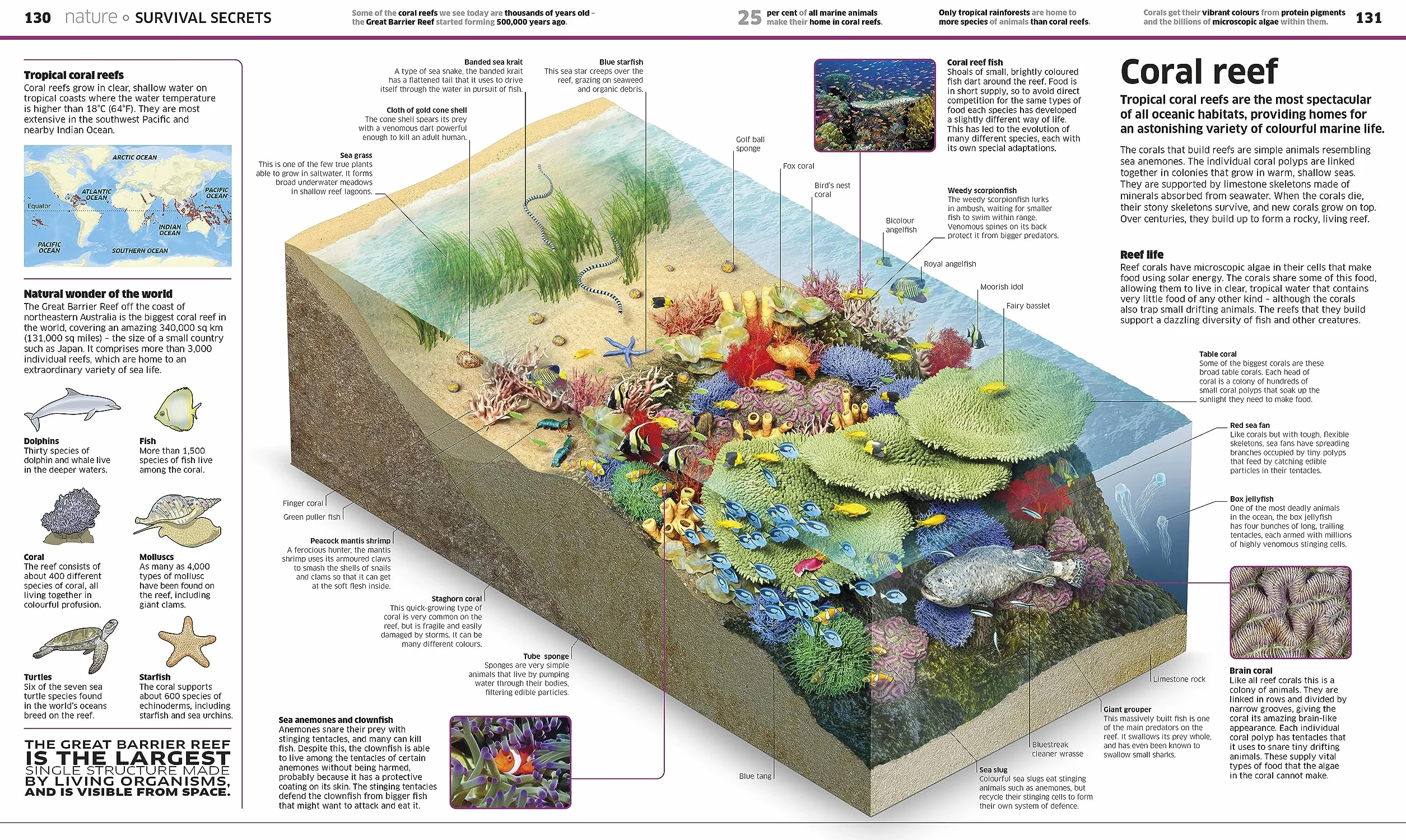 Knowledge Encyclopedia!: The World as You've Never Seen it Before