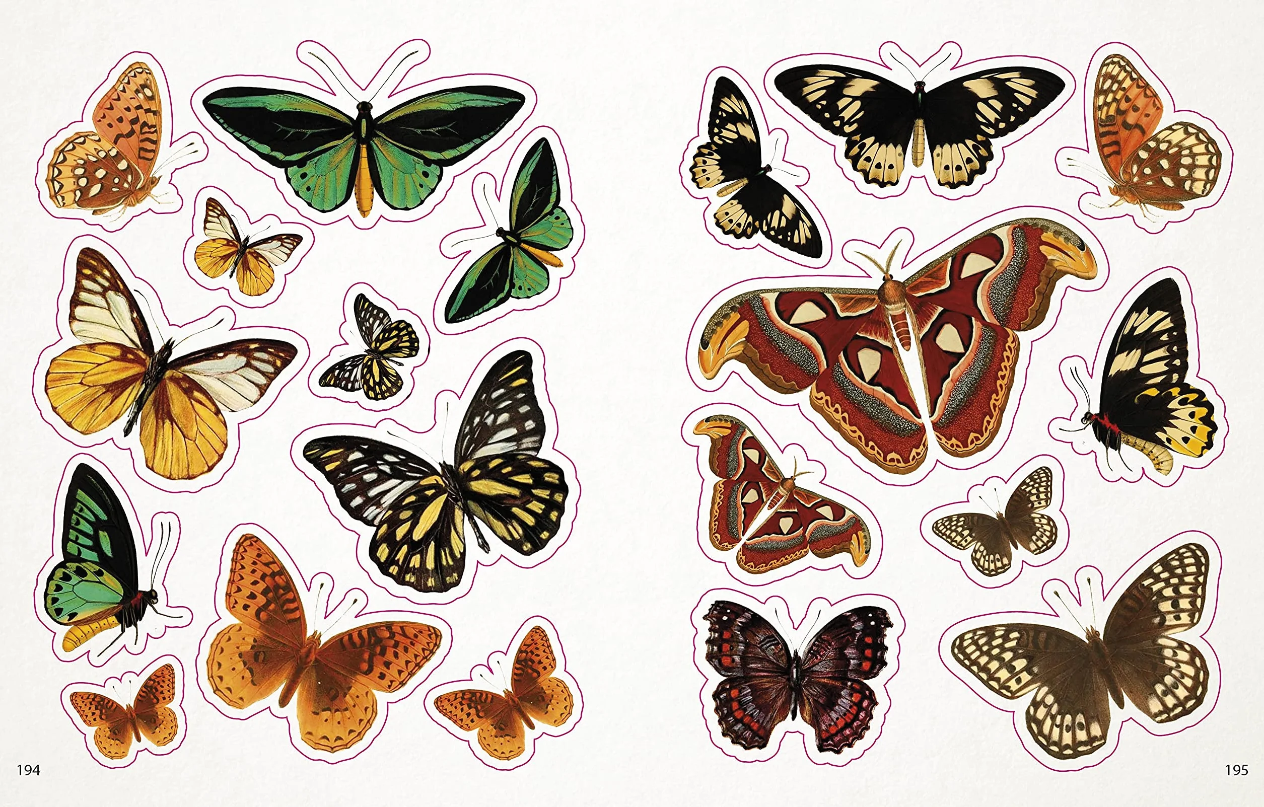 The Bees, Birds & Butterflies Sticker Anthology: With More Than 1,000 Vintage Stickers