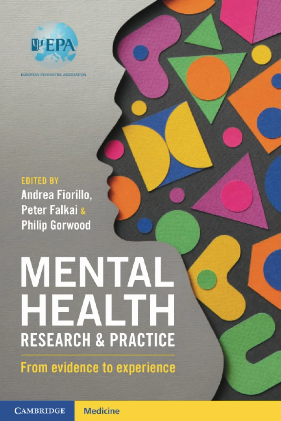 Mental Health Research and Practice: From Evidence to Experience