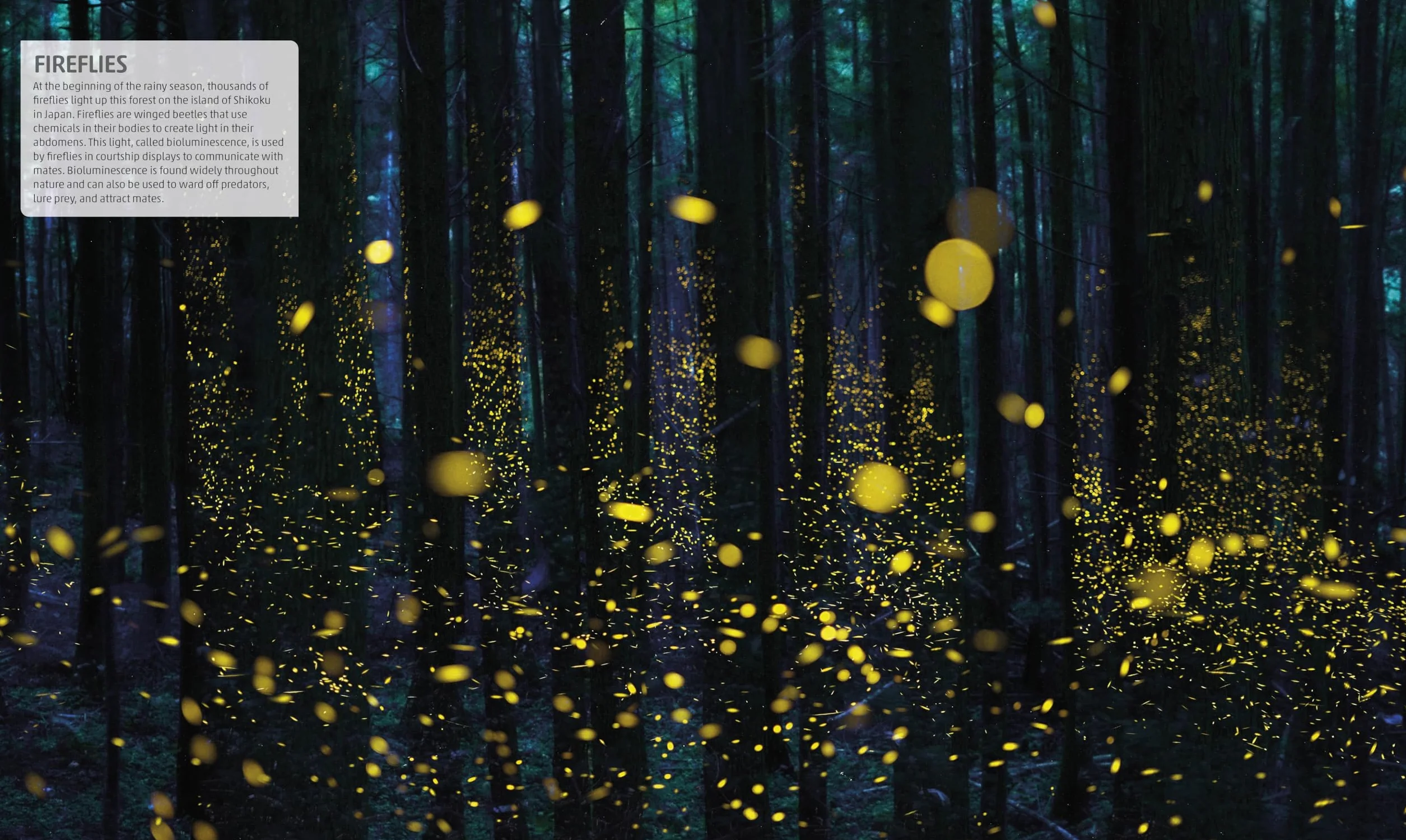 Explanatorium of Nature: Where the Wonders of the World are Revealed