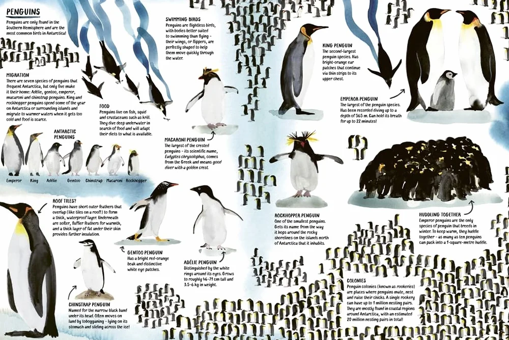 All About Antarctica