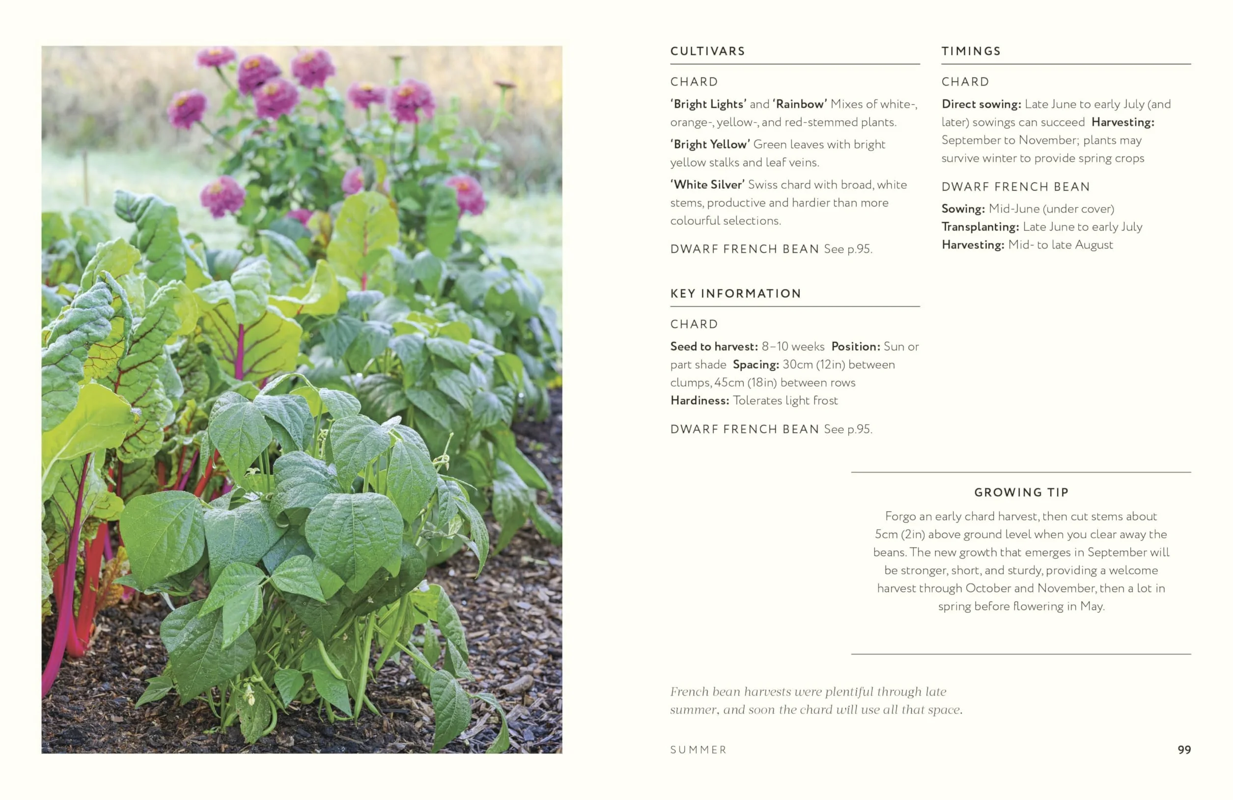 Grow Together: 50 Planting Partnerships to Boost Your Harvests