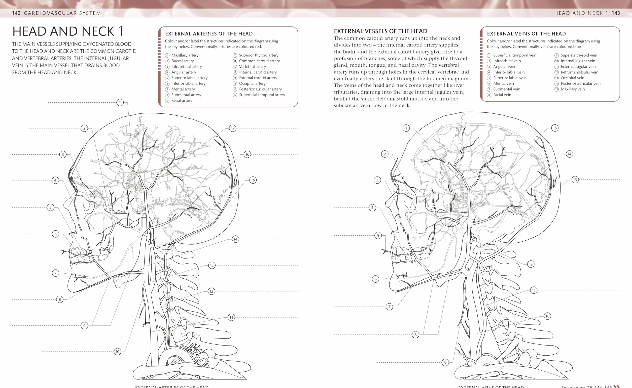 The Human Body Colouring Book: The Ultimate Anatomy Study Guide