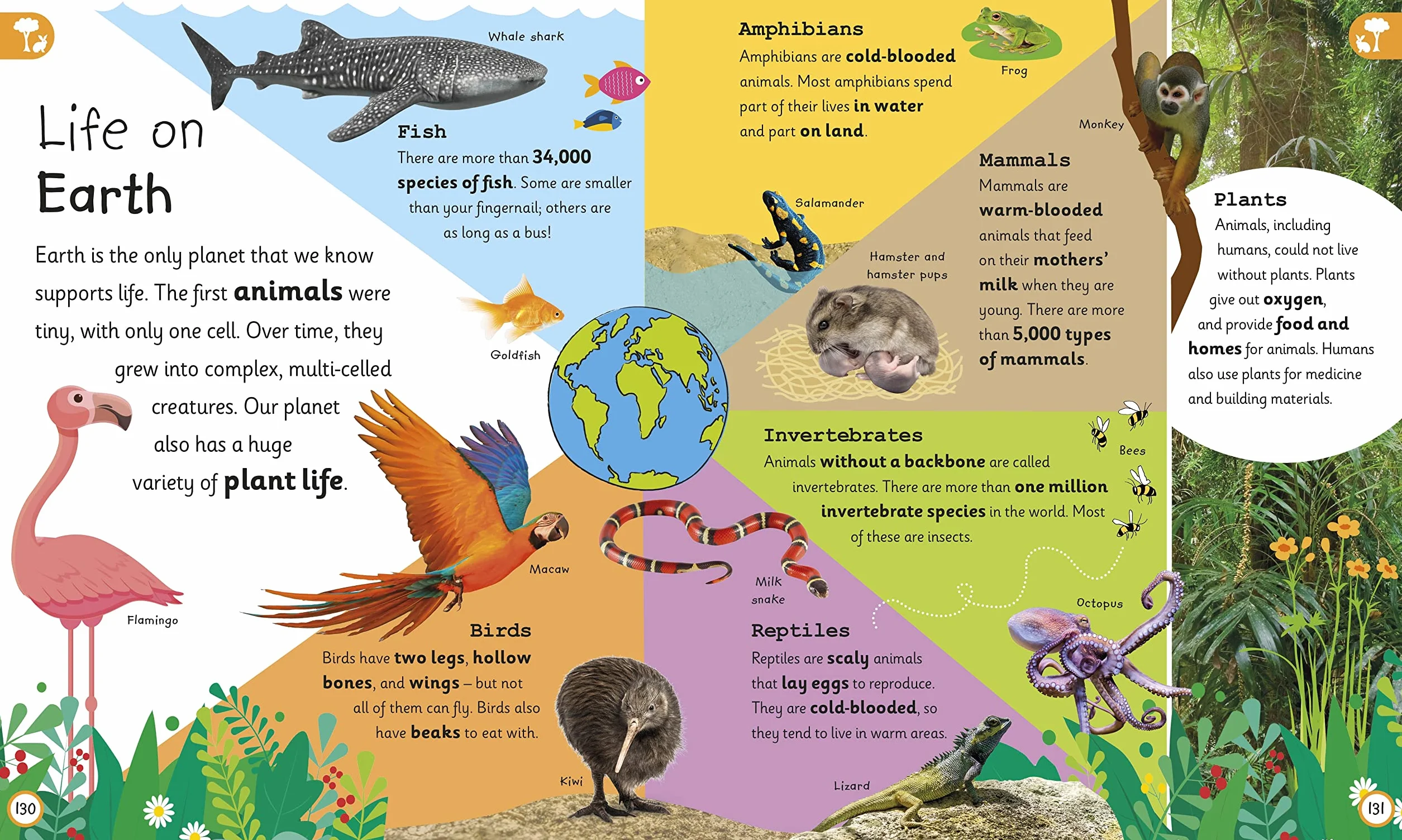 My Very Important Earth Encyclopedia: For Little Learners Who Want to Know Our Planet