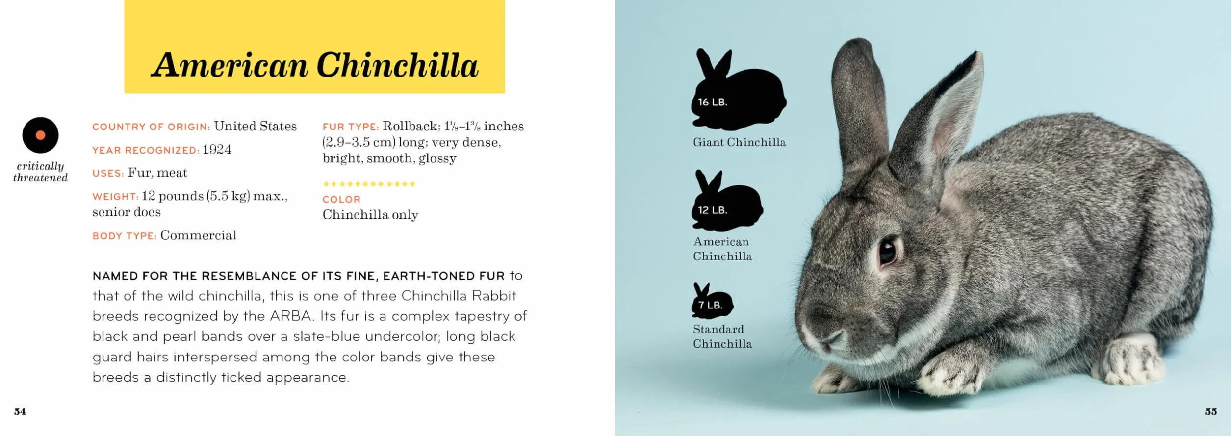 Rabbit Breeds: Pocket Guide to 49 Essential Breeds