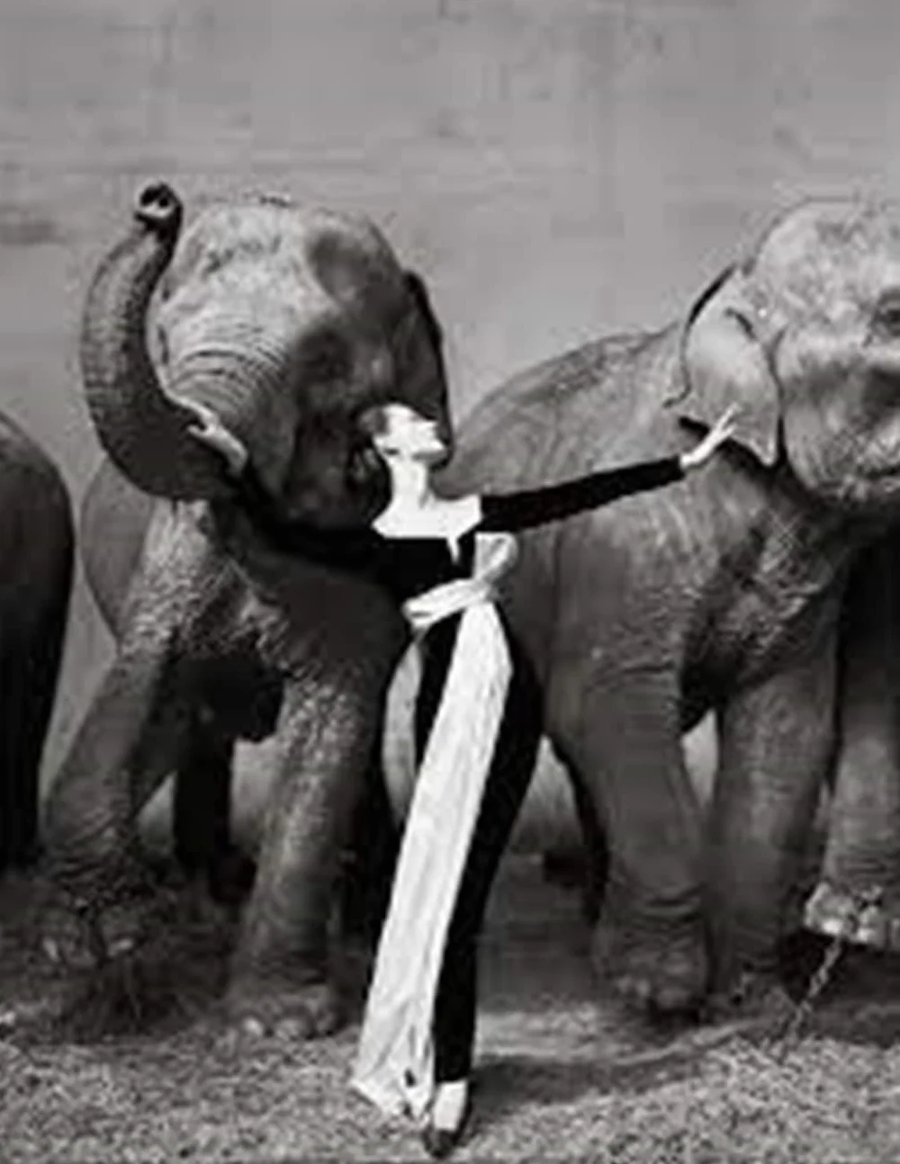 Richard Avedon: Relationships /anglais