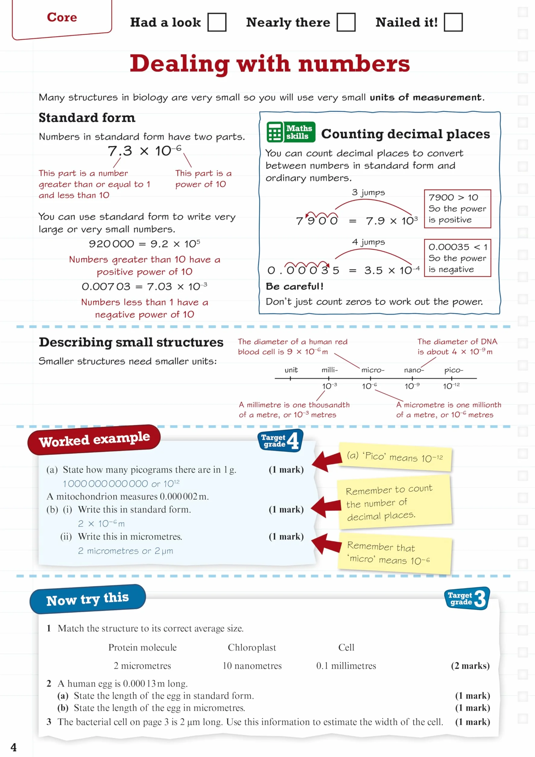 Revise Edexcel GCSE (9-1) Biology Higher Revision Guide: (with free online edition)