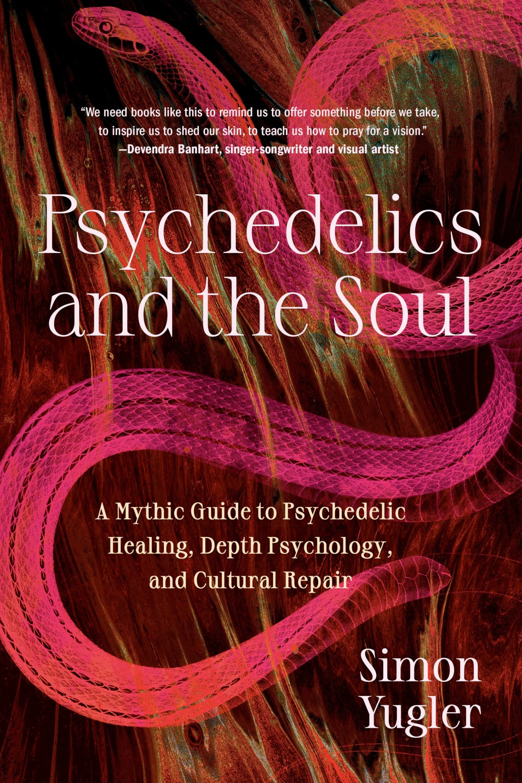 Psychedelics and the Soul: A Mythic Guide to Psychedelic Healing, Depth Psychology, Cultural Repair