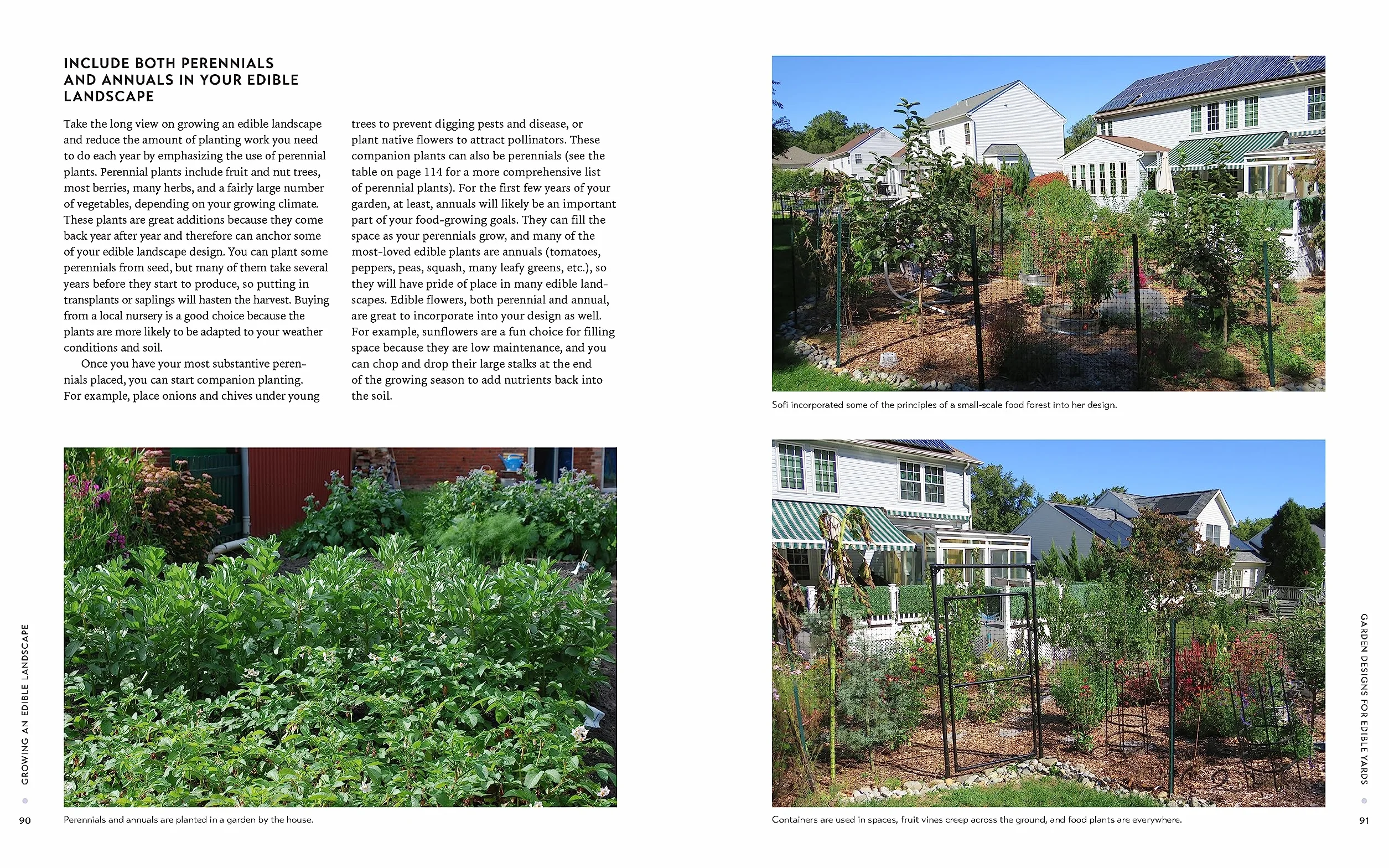 Growing an Edible Landscape: How to Transform Your Outdoor Space Into a Food Garden