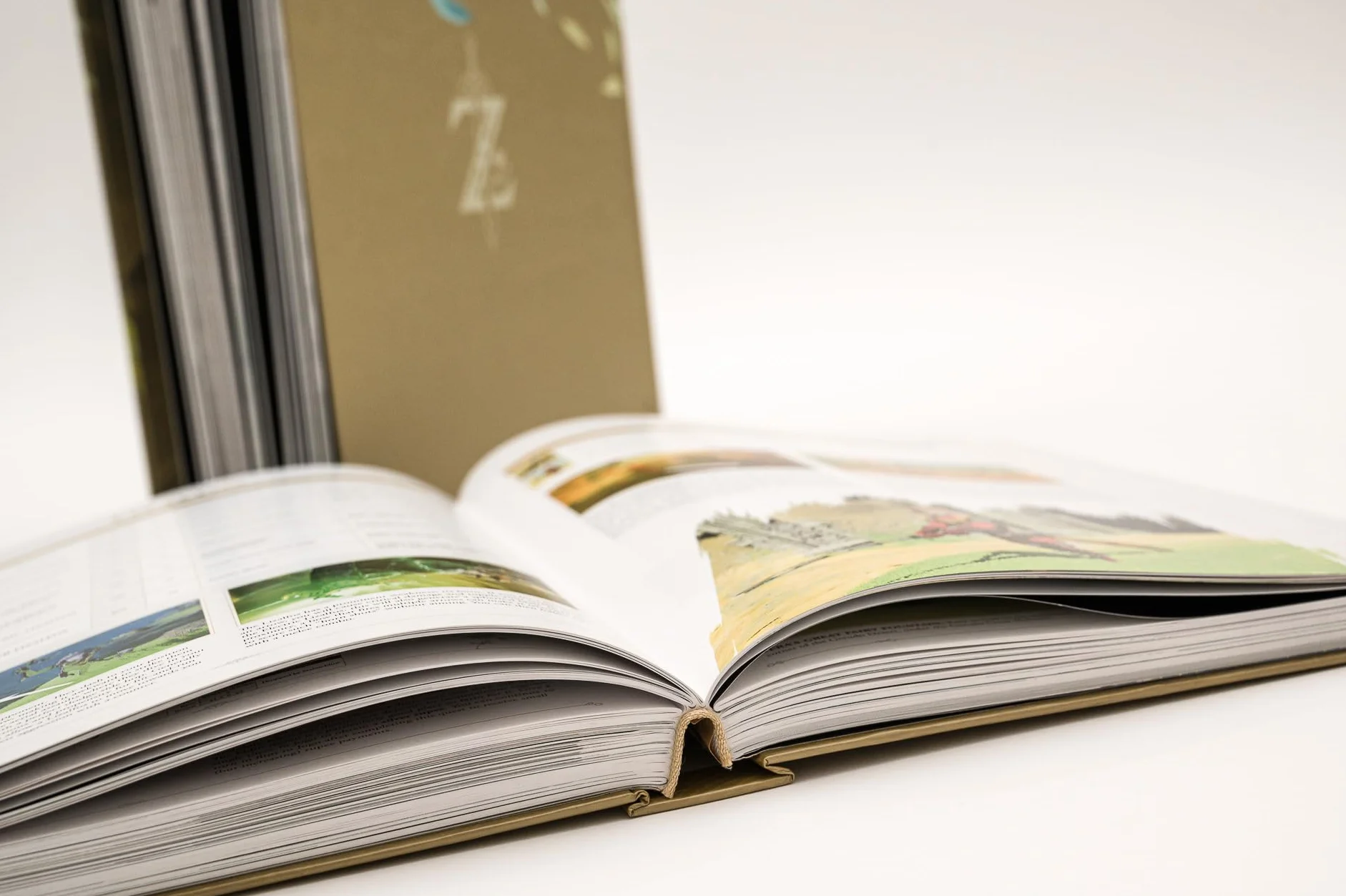 The Legend of Zelda: Breath of the Wild Complete Official Guide Expanded Edition
