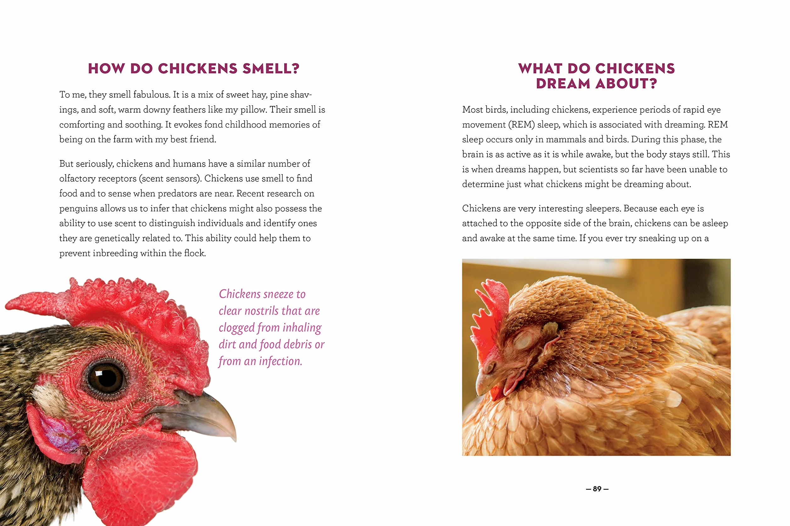 How to Speak Chicken: Why Your Chickens Do What They Do & Say What They Say