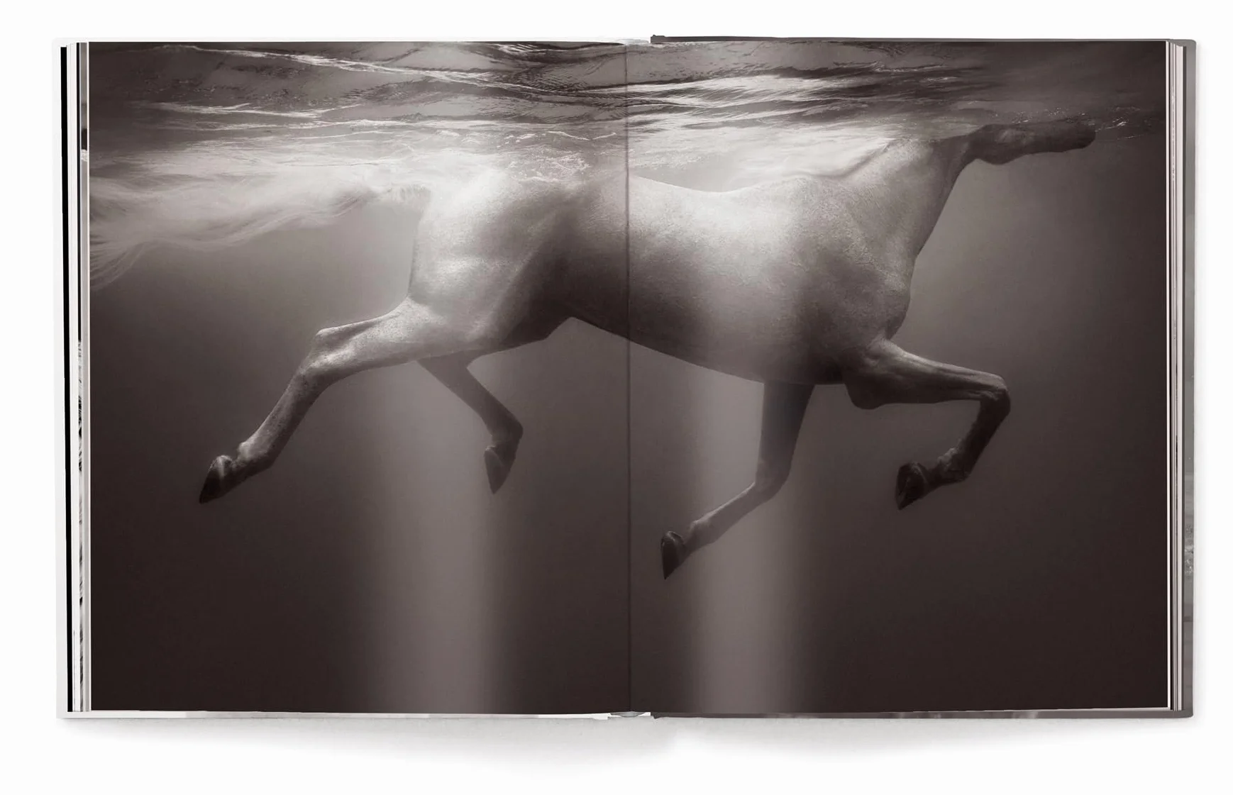 Untamed Spirits: Horses from Around the World
