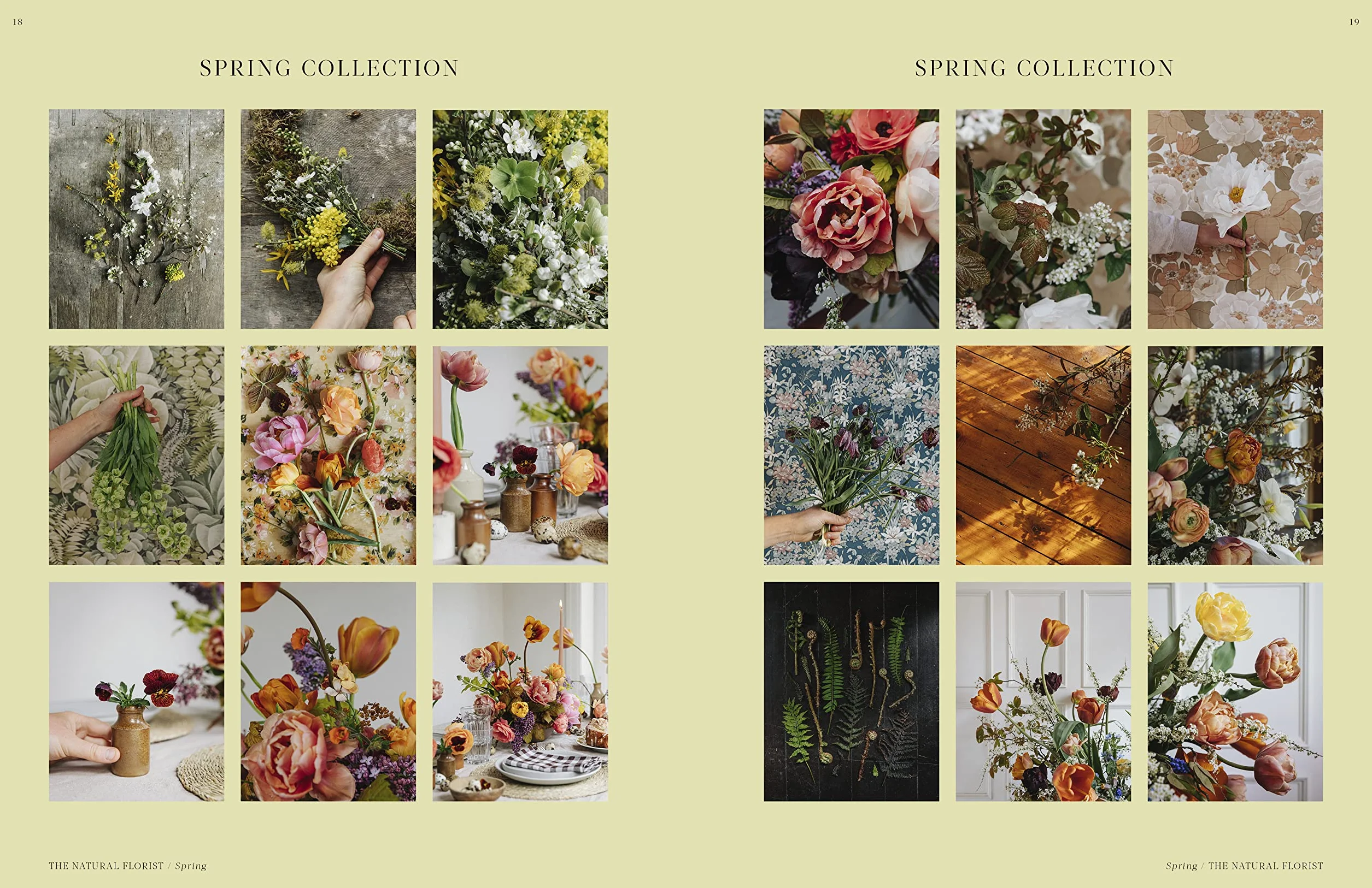 Flower Philosophy /anglais: Seasonal Projects to Inspire & Restore