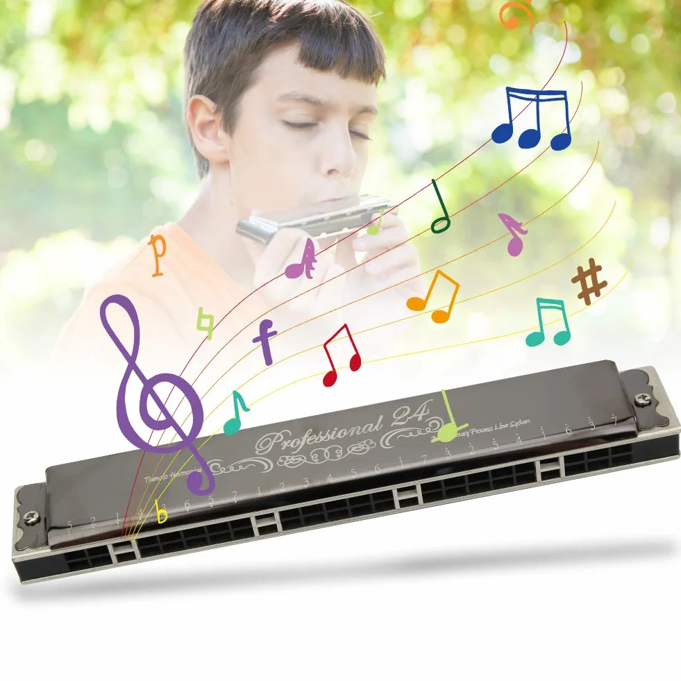 Harmonijka Ustna KS 24P 24 Otwory Polifoniczna Diatoniczna Klawisz D