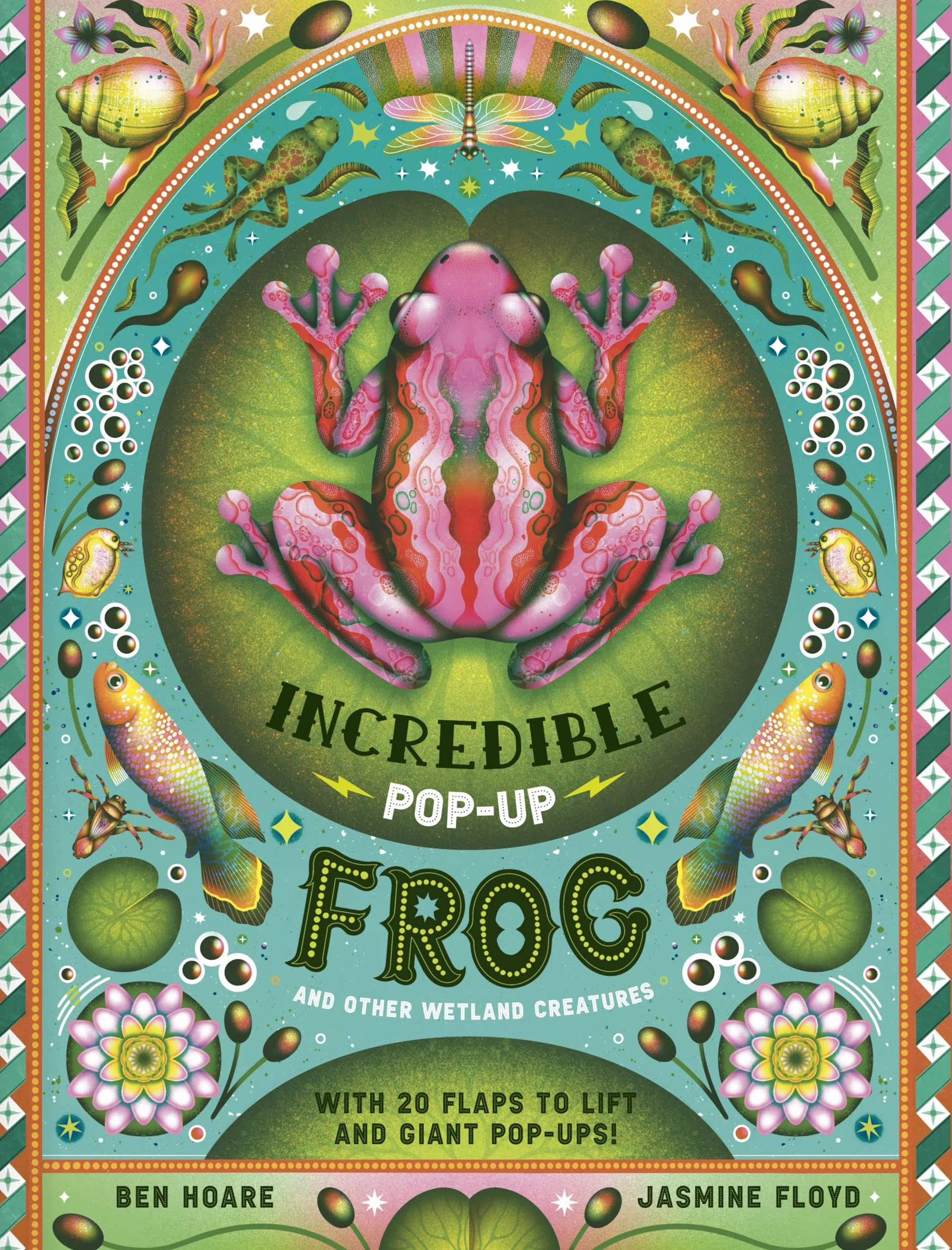 Pop-up Frog And Wetland Creatures