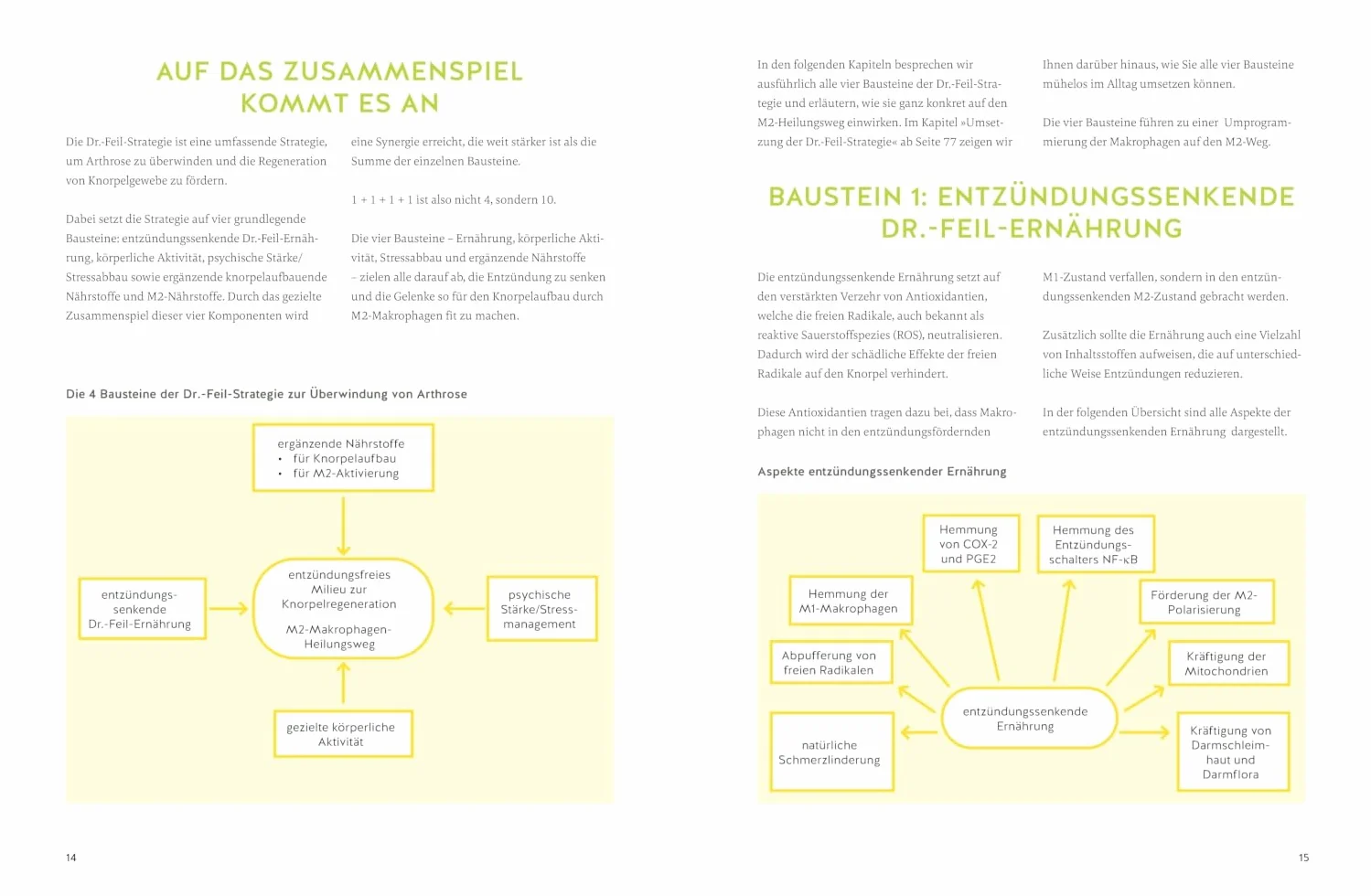 Arthrose endlich heilen: Die revolutionäre Strategie zur Knorpelregeneration nach Dr. Feil - Ernährung & Bewegung bei Arthrose. SPIEGEL-Bestseller