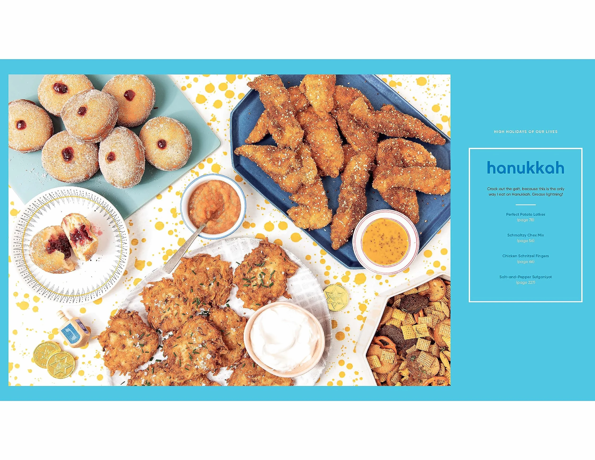 Jew-Ish: A Cookbook: Reinvented Recipes from a Modern Mensch