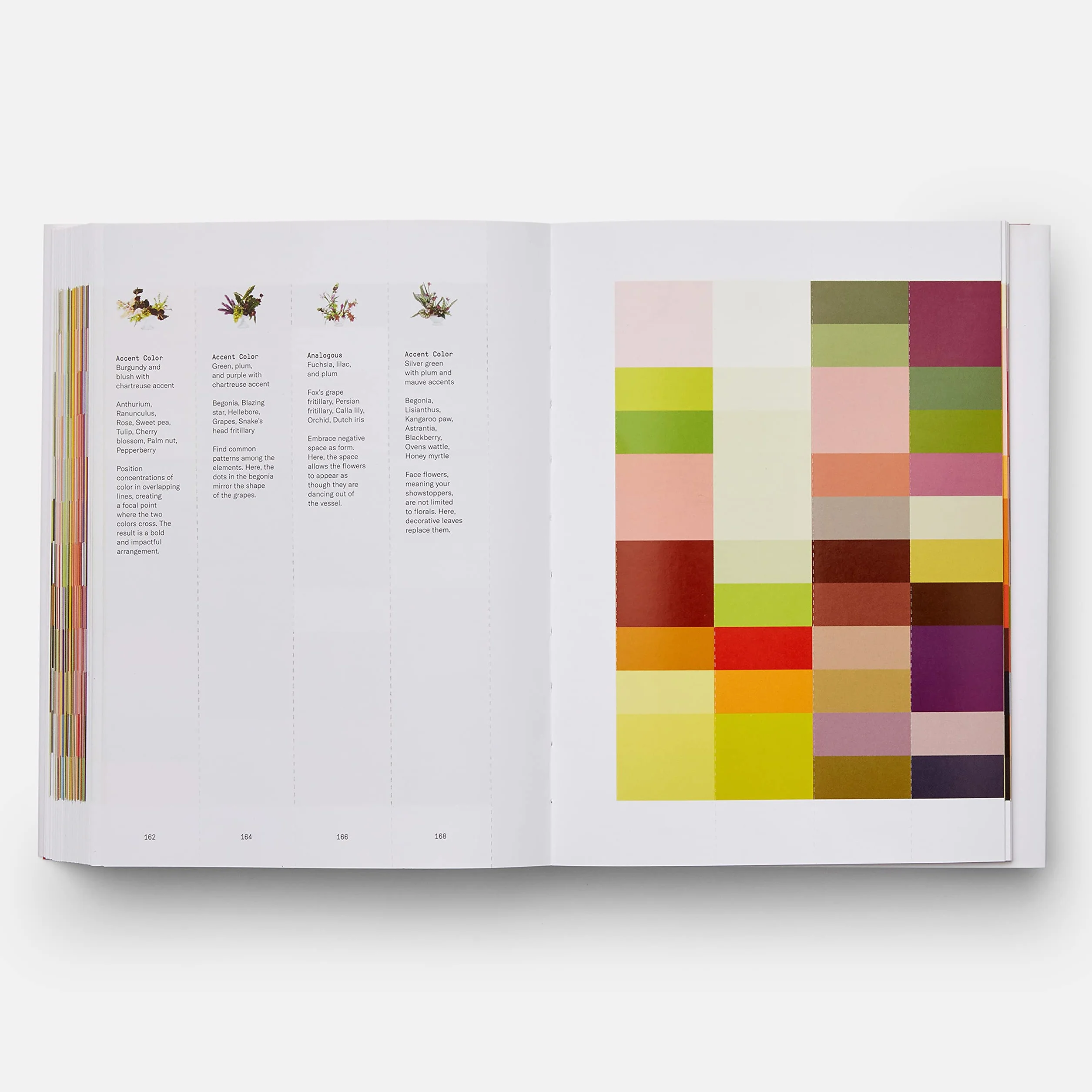 Flower Colour Theory