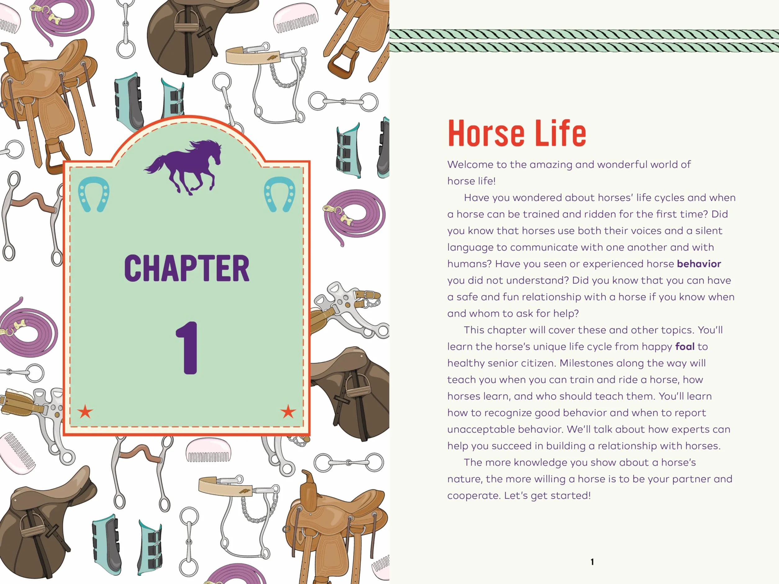 Horse Life: The Ultimate Guide to Caring for and Riding Horses for Kids