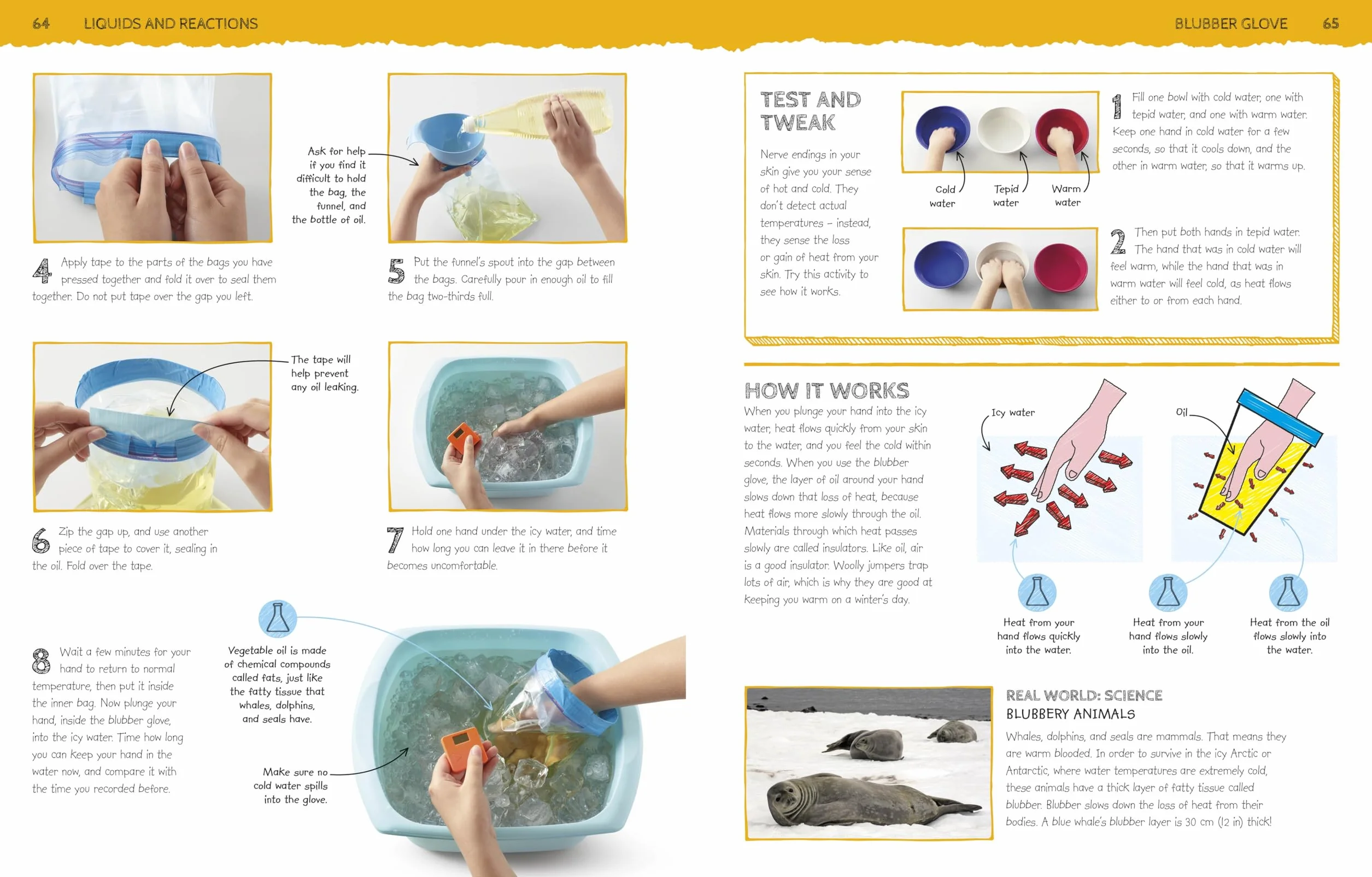 Science Activity Lab: Fantastic Projects for Young Scientists