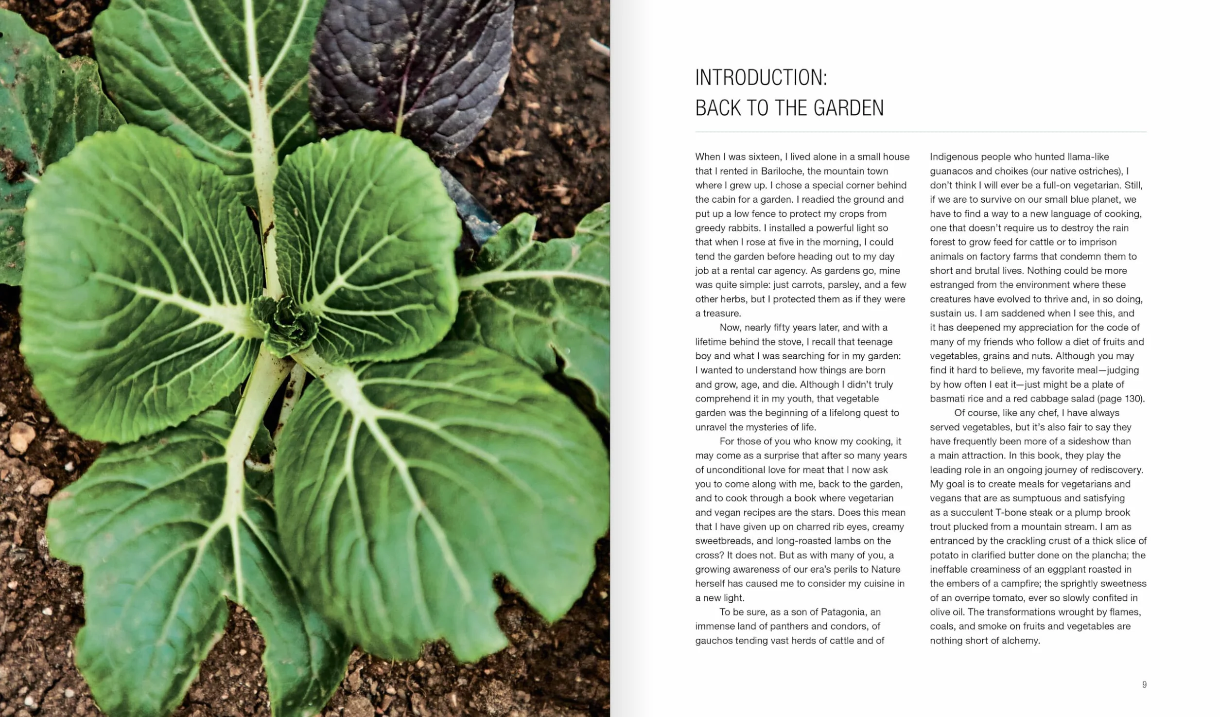 Green Fire: Extraordinary Ways to Grill Fruits and Vegetables, from the Master of Live-Fire Cooking