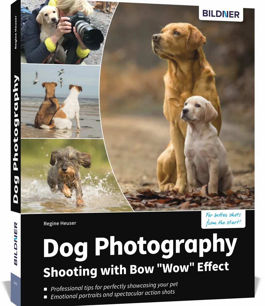Dog Photography Shooting with Bow Wow Effect