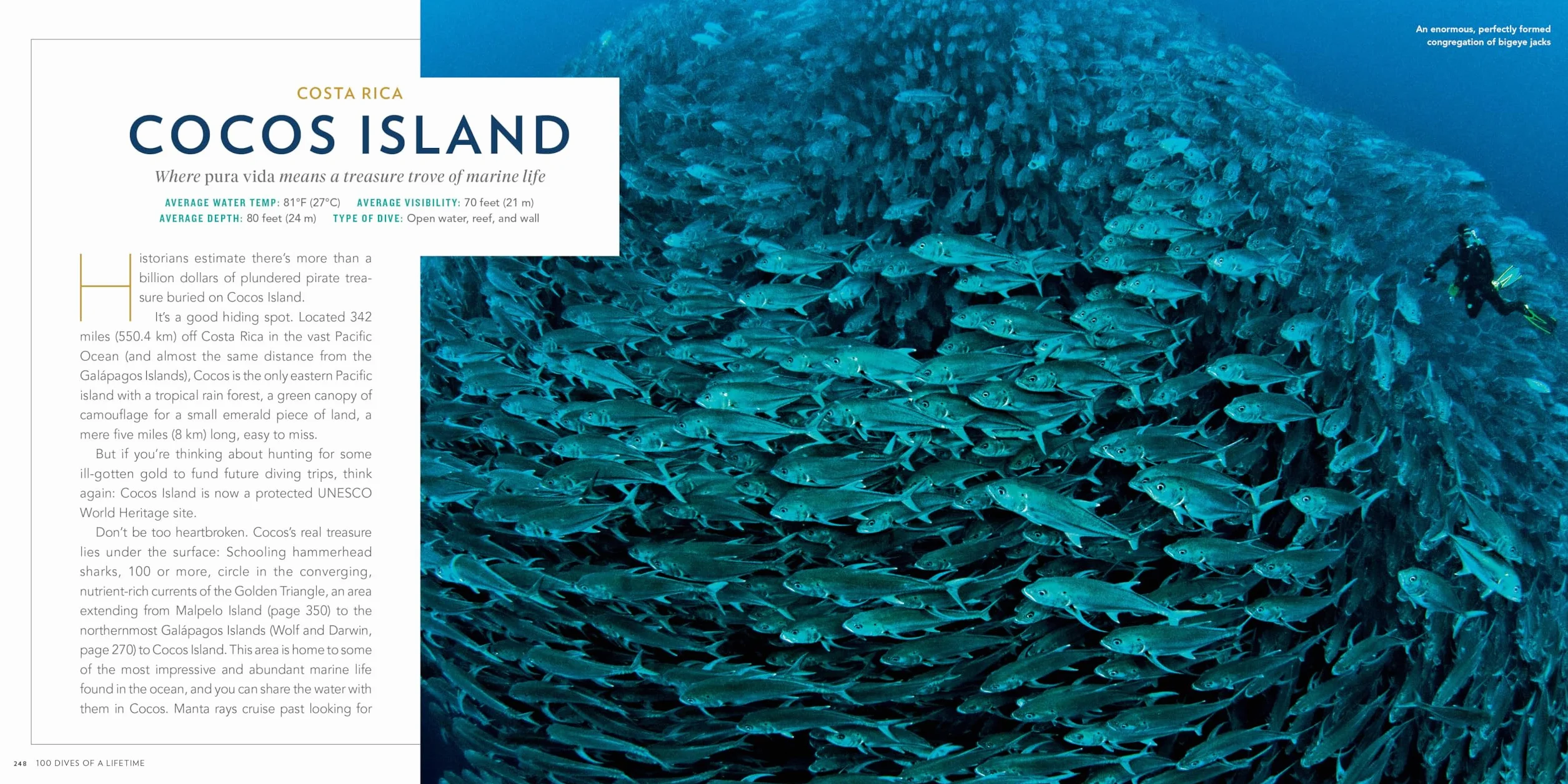 100 Dives of a Lifetime: The World's Ultimate Underwater Destinations