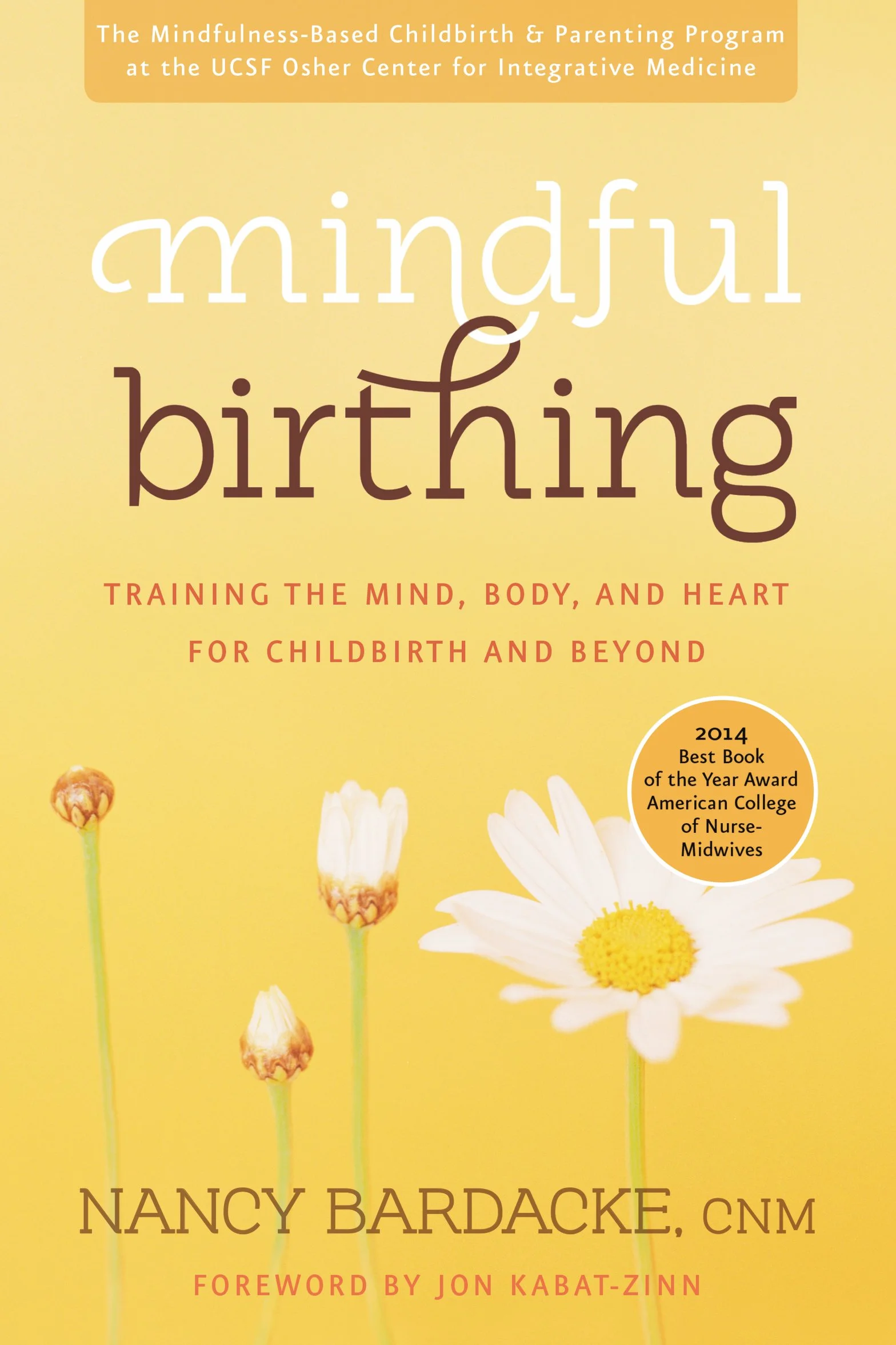 Mindful Birthing: Training Mind, Body, Heart for Childbirth & Beyond