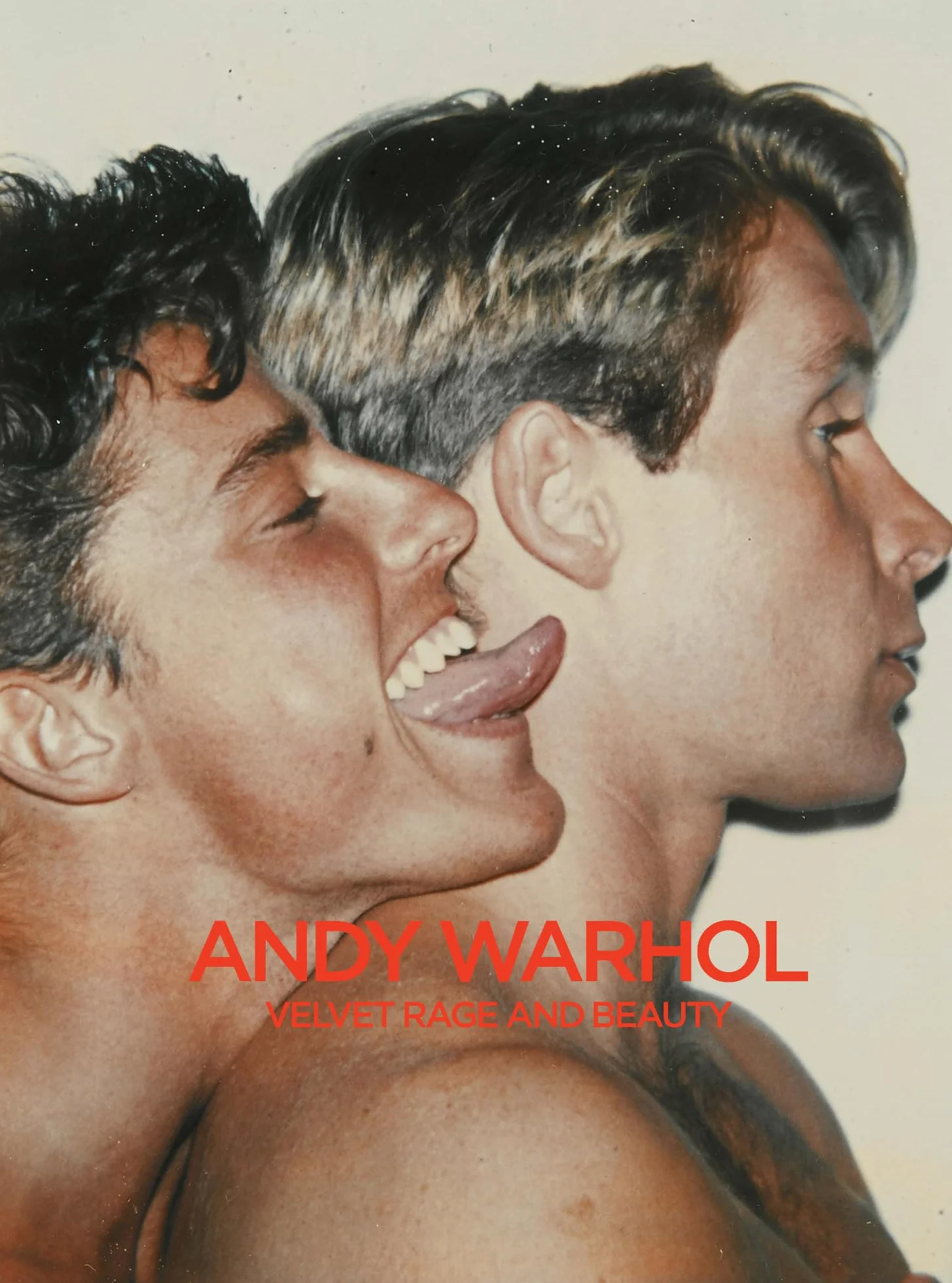 Andy Warhol Velvet Rage and Beauty
