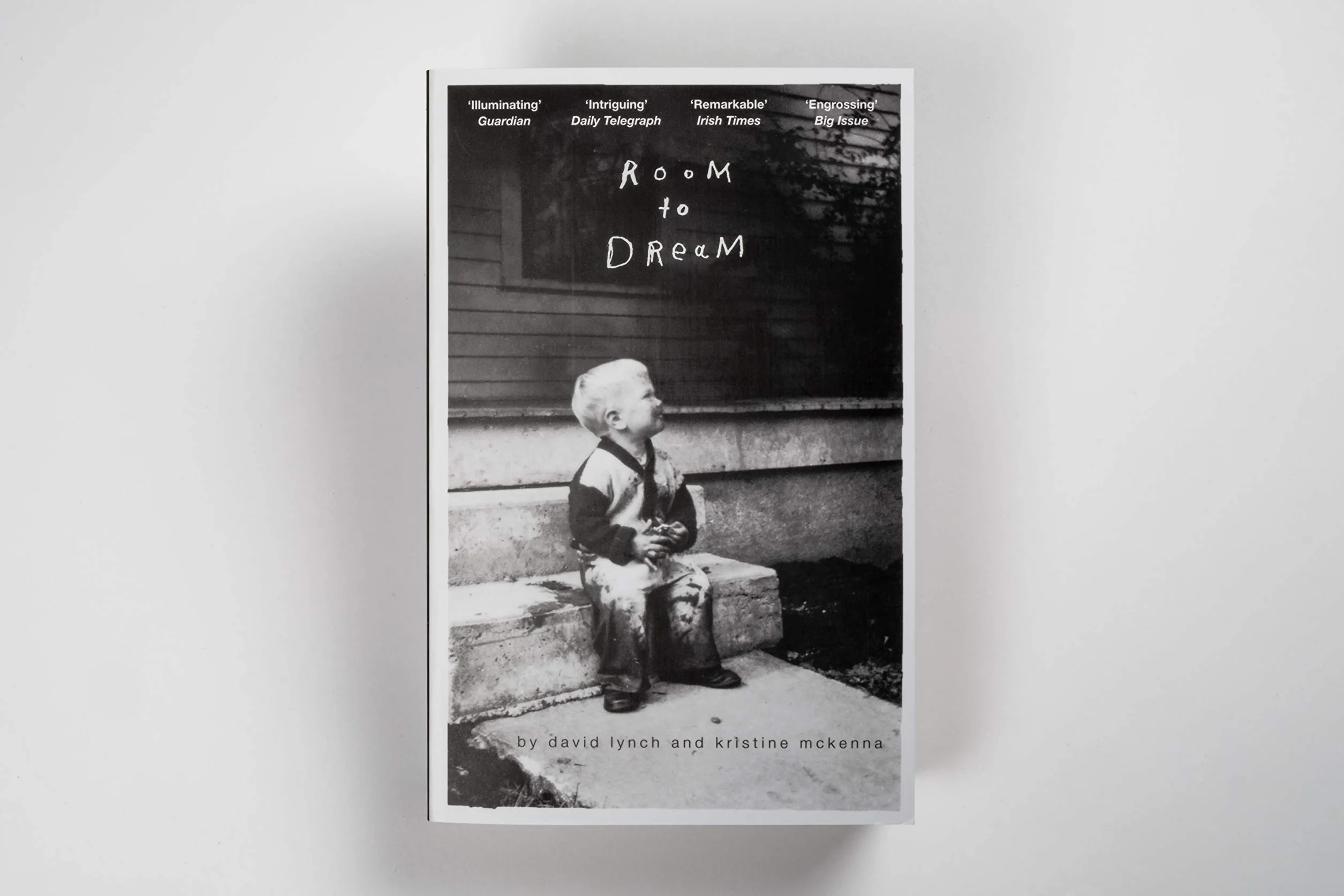 Room to Dream: A Life in Art