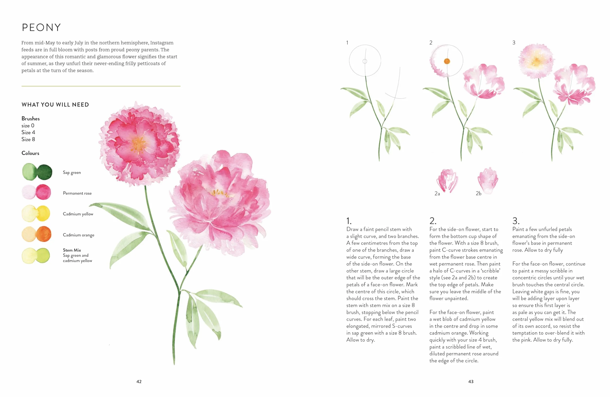 Botanical Painting