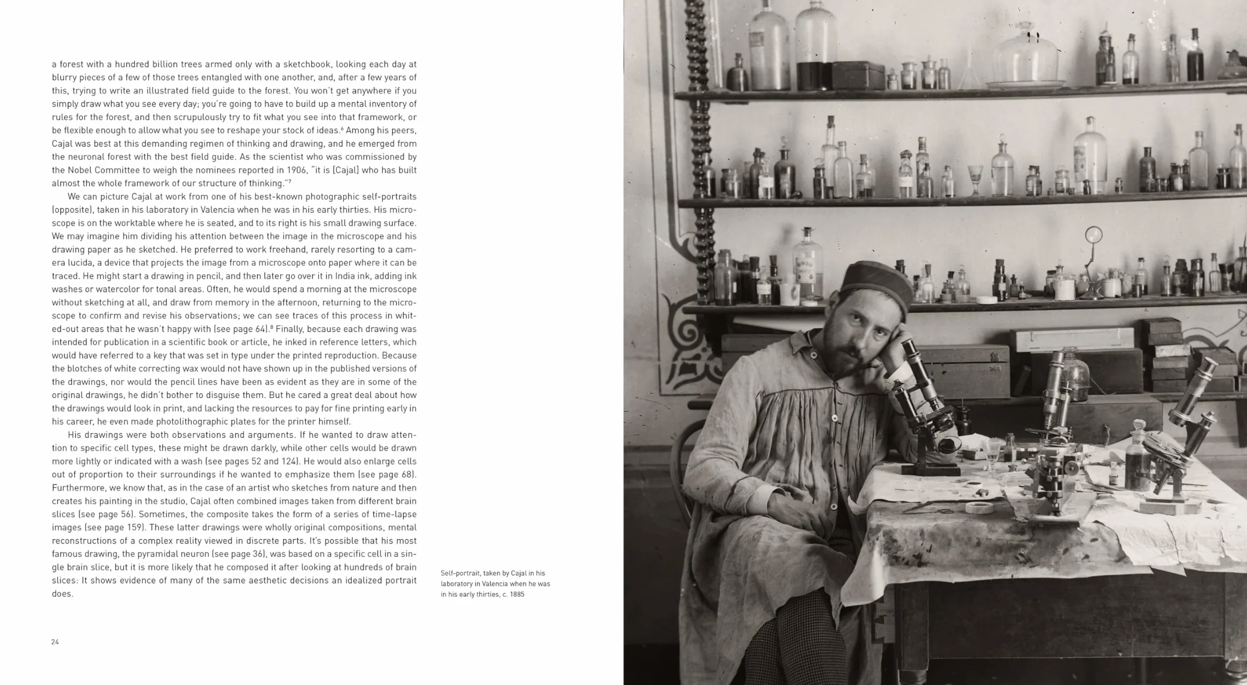 The Beautiful Brain: The Drawings of Santiago Ramon Y Cajal