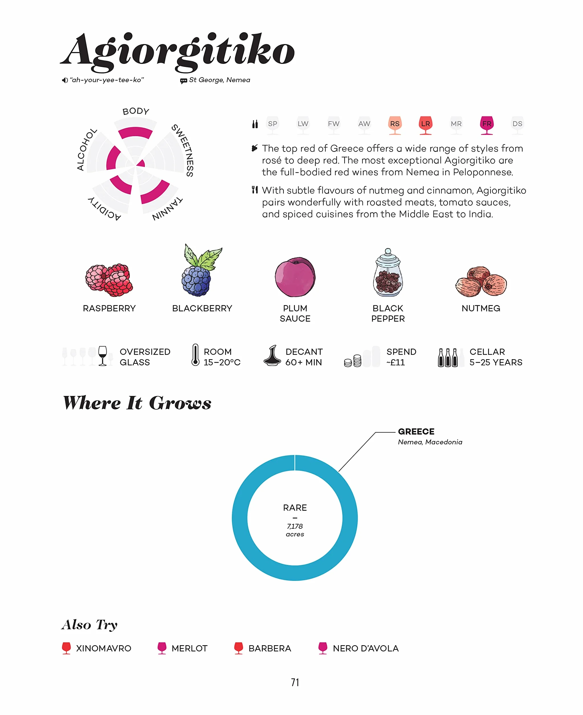 Wine Folly Magnum Edition: The Master Guide
