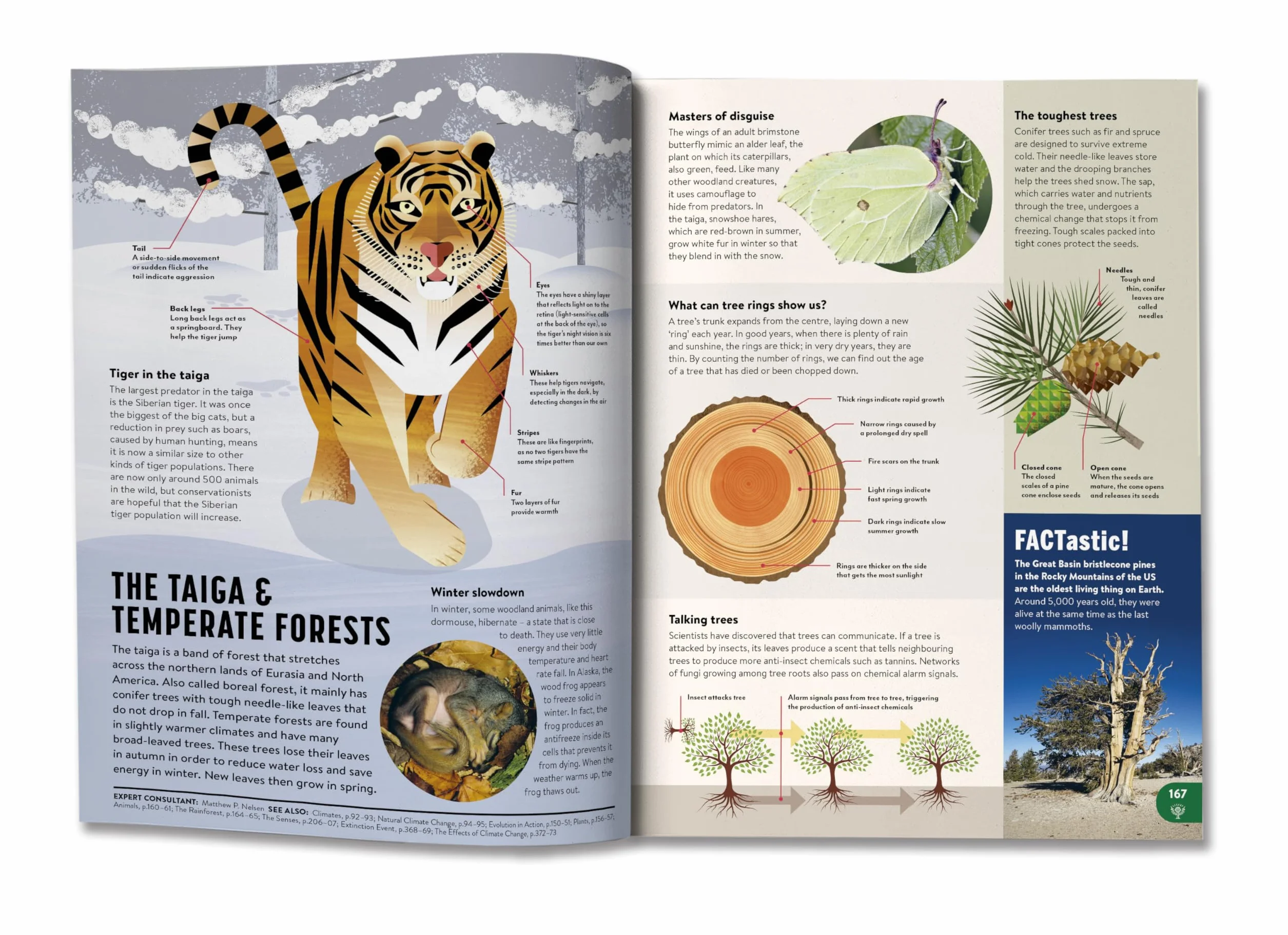 Britannica All New Children's Encyclopedia: What We Know & What We Don't