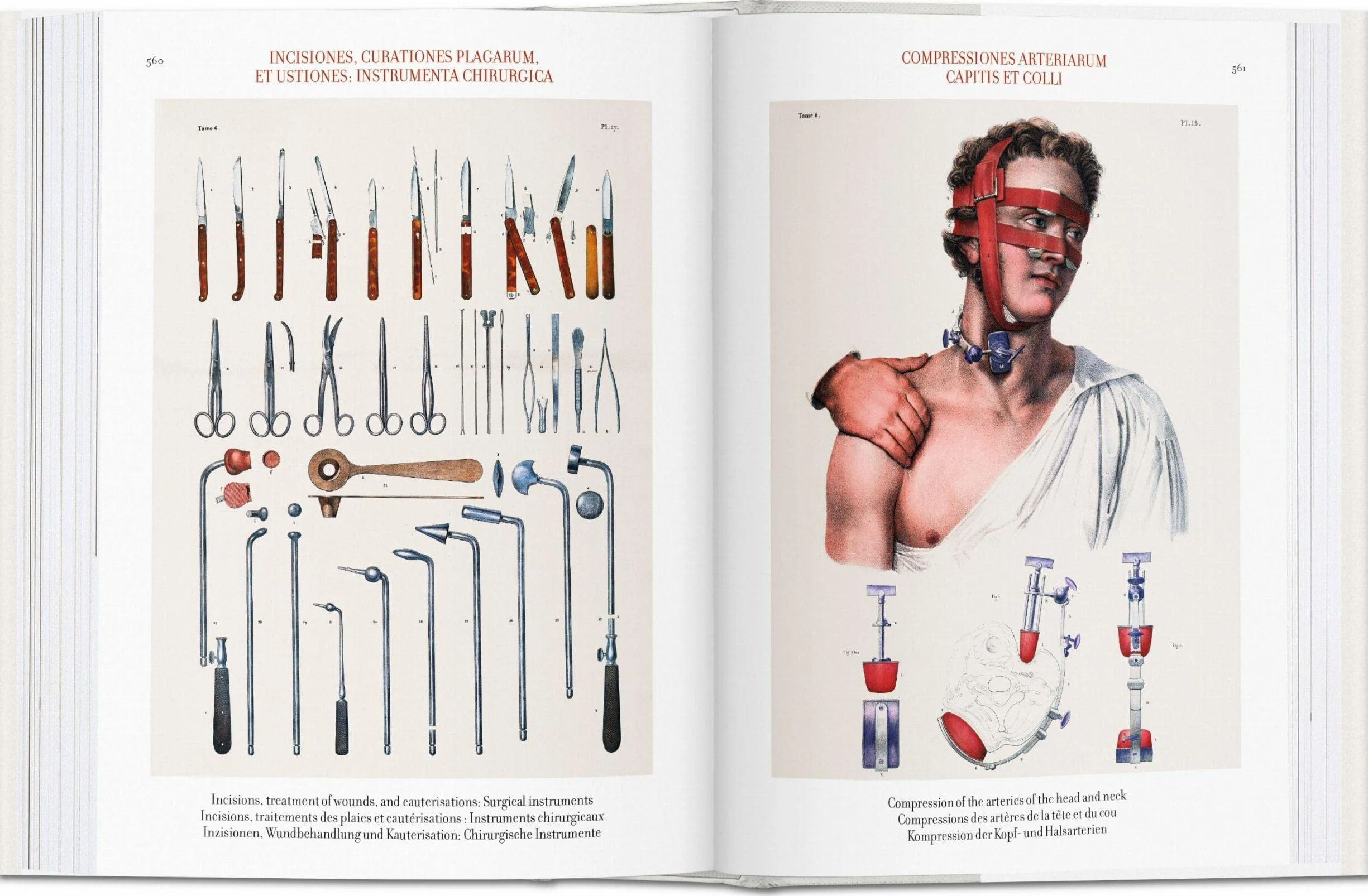 Bu-bourgery atlas of anatomy - italien - espagnol - portugais -: Atlas de anatomía humana y cirugía