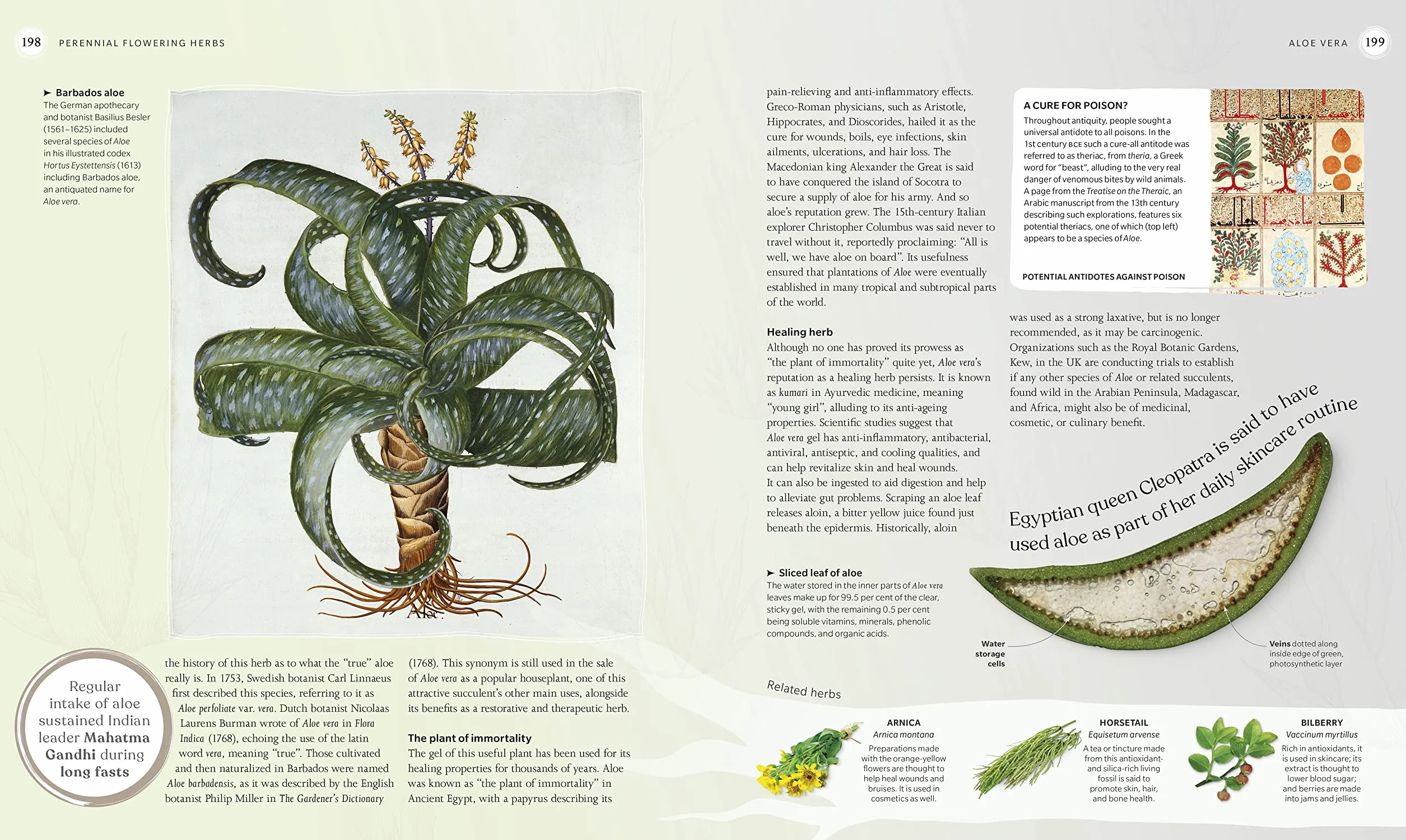 The Herb Book: Stories, Science, and History of Herbs