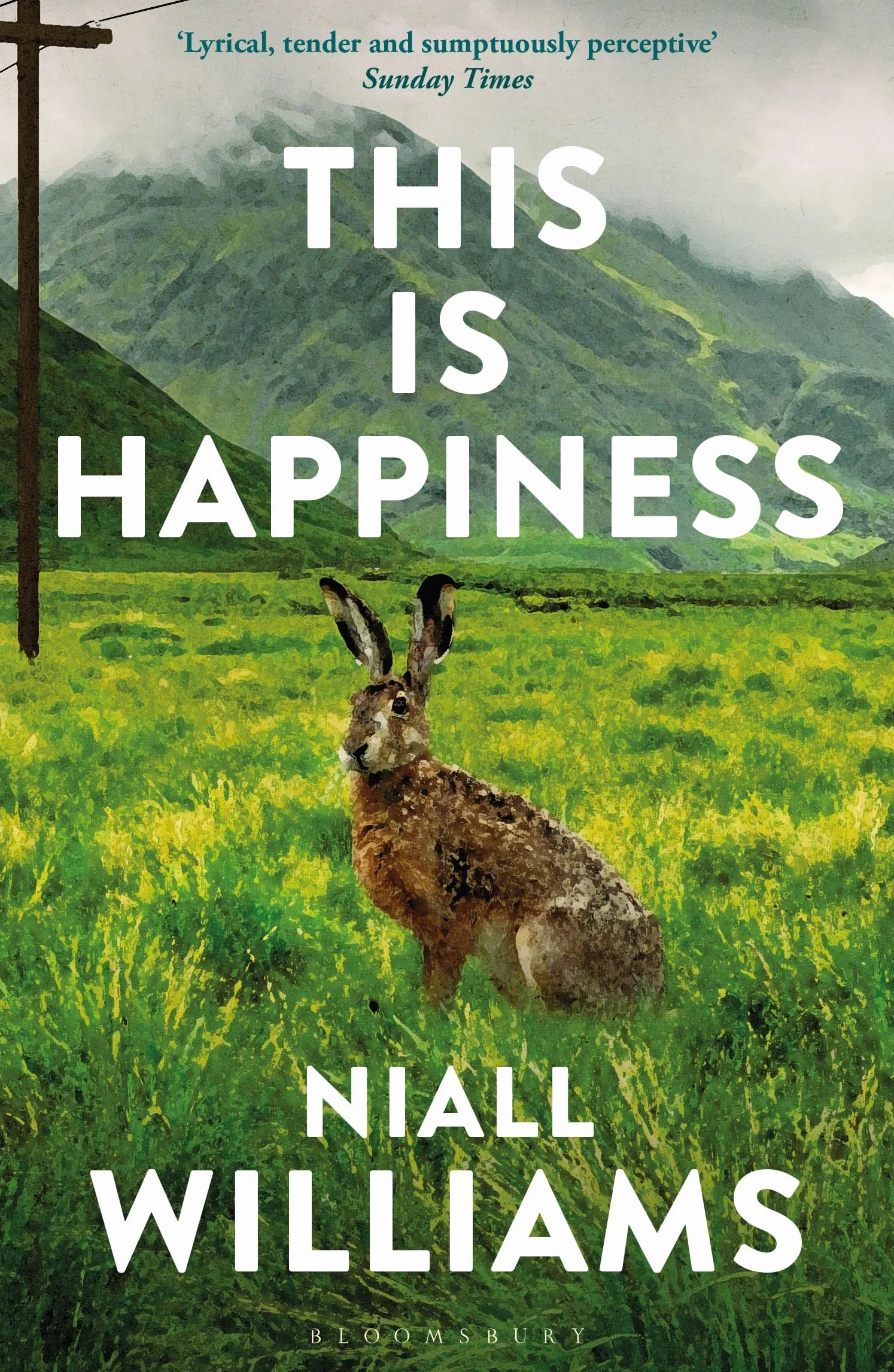 This Is Happiness: By the author of Four Letters of Love, now a major film starring Helena Bonham Carter and Pierce Brosnan