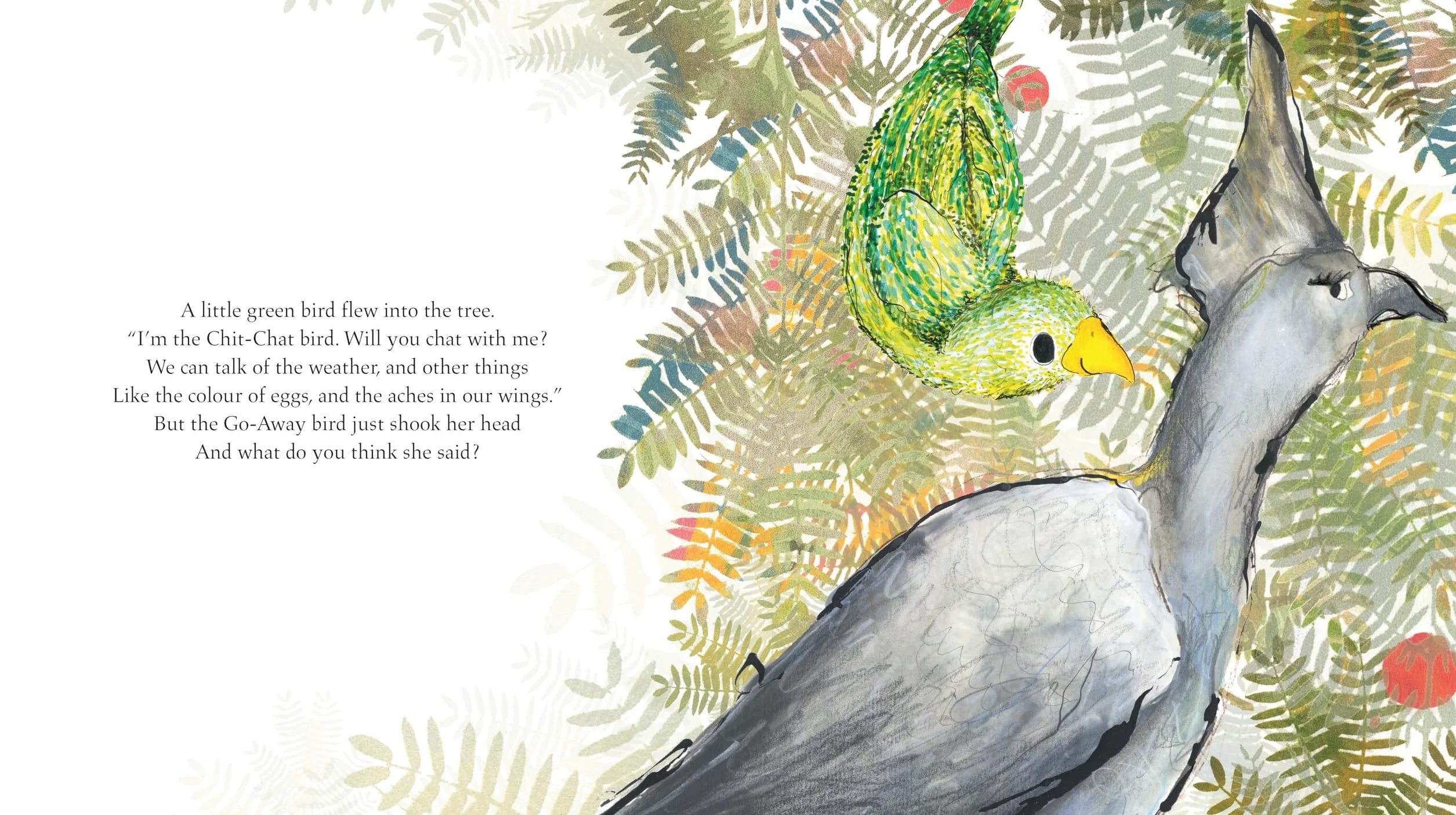 The Go-Away Bird