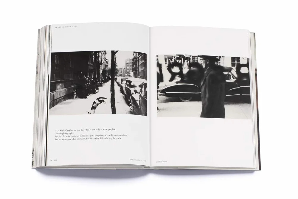 All About Saul Leiter /anglais