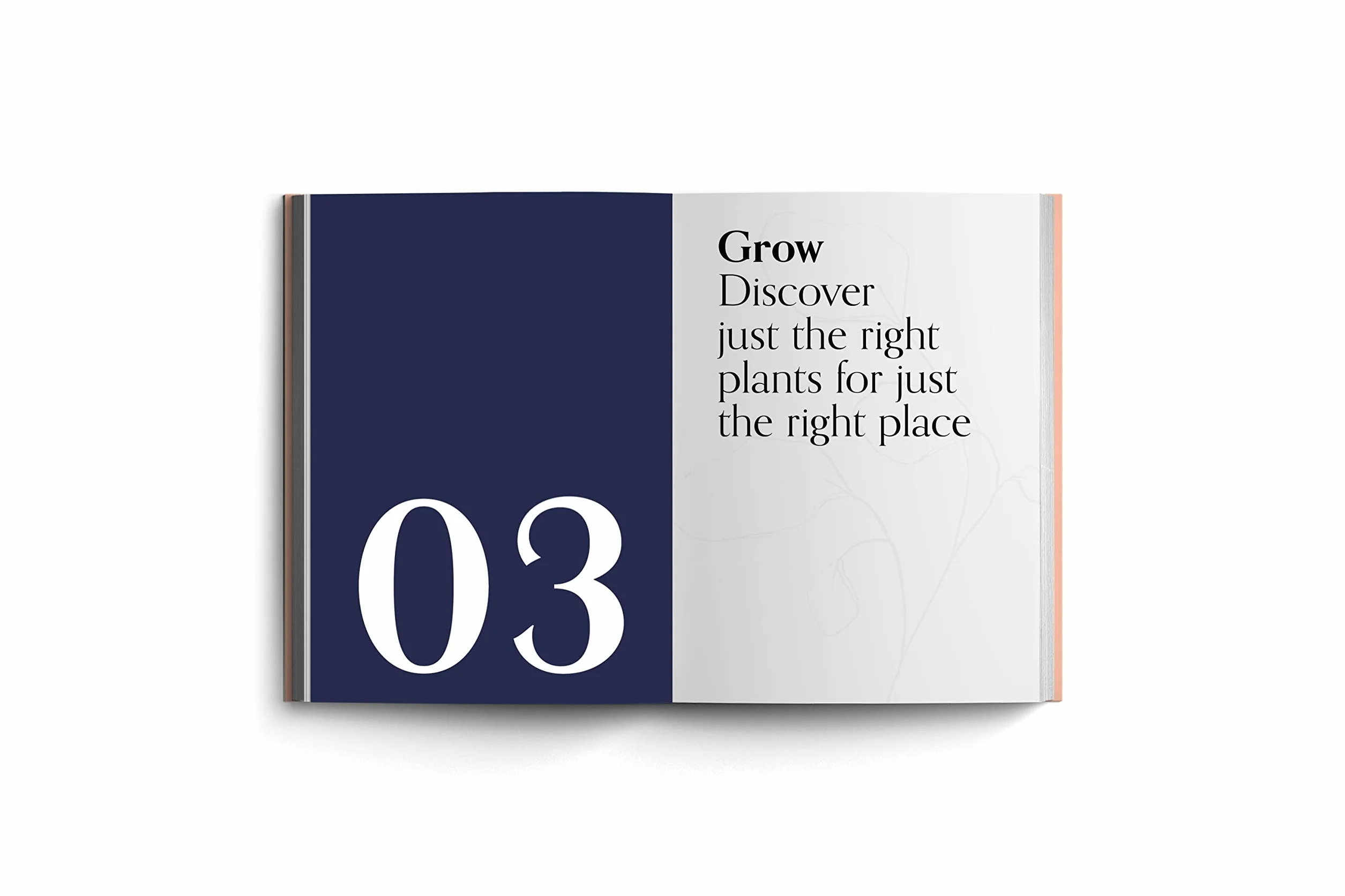 Bloom Gardener's Guide: Work with the Light, Grow the Right Plants, Bring Dark Corners to Life