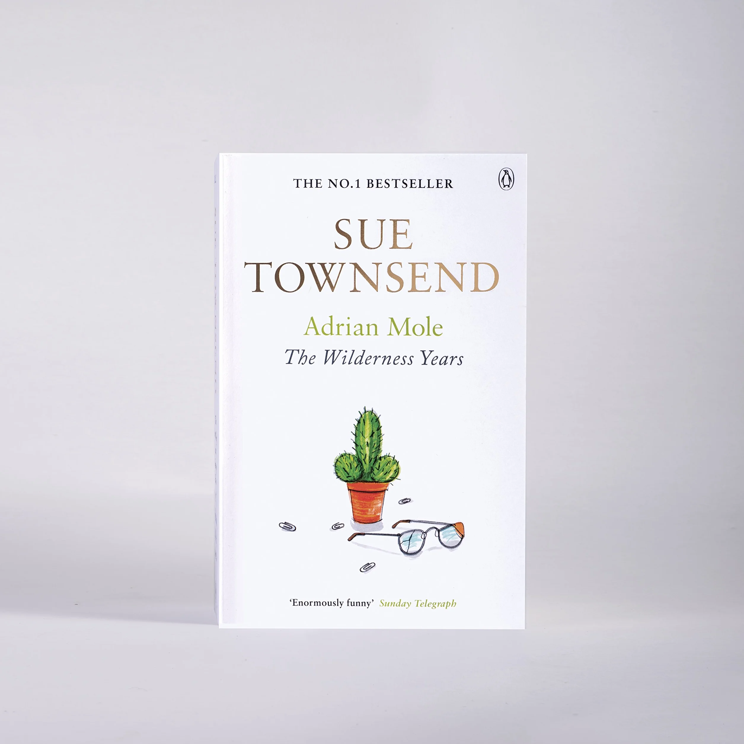 Adrian Mole:the Wilderness Year