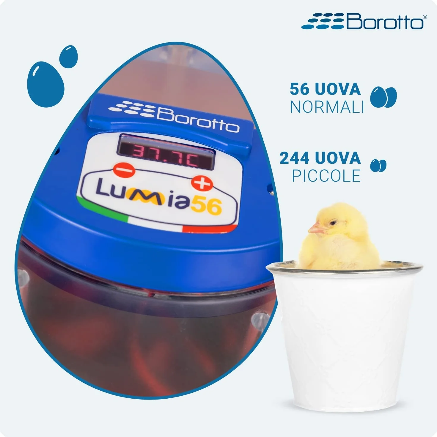 Borotto Lumia 56 automatyczny inkubator do jajek do 56 jajek lub 244 małych z automatycznymi obrotnikami i regulacją temperatury | Made in Italy