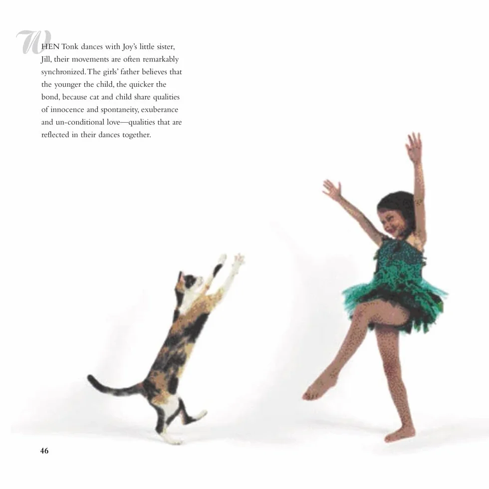 Dancing with Cats: From the Creators of Why Cats Paint, Cat Photography Book for Cat Lovers