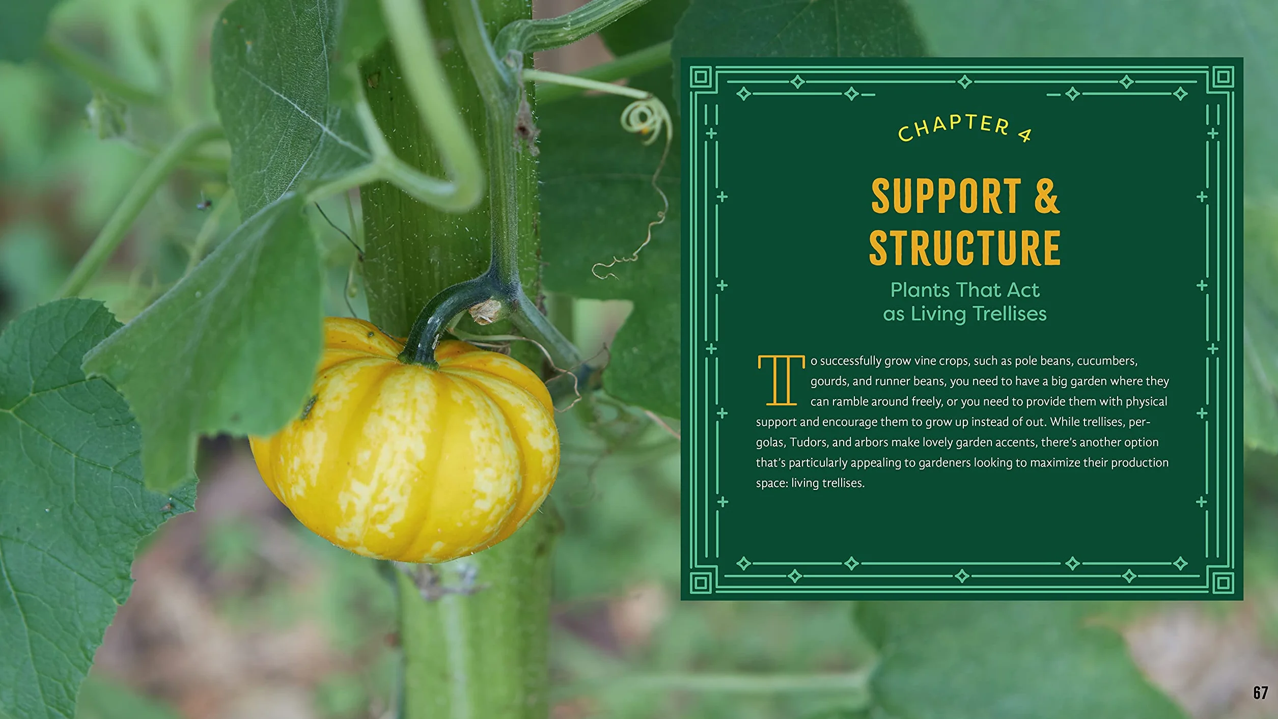 Plant Partners: Science-Based Companion Planting Strategies for the Vegetable Garden