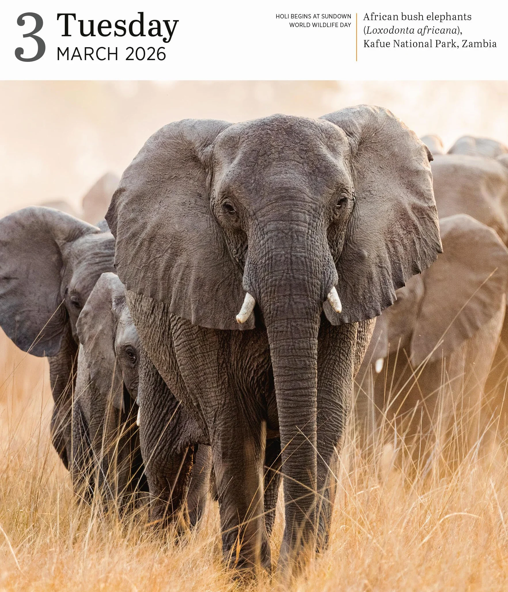 Audubon Nature Page-A-Day® Gallery Calendar 2026
